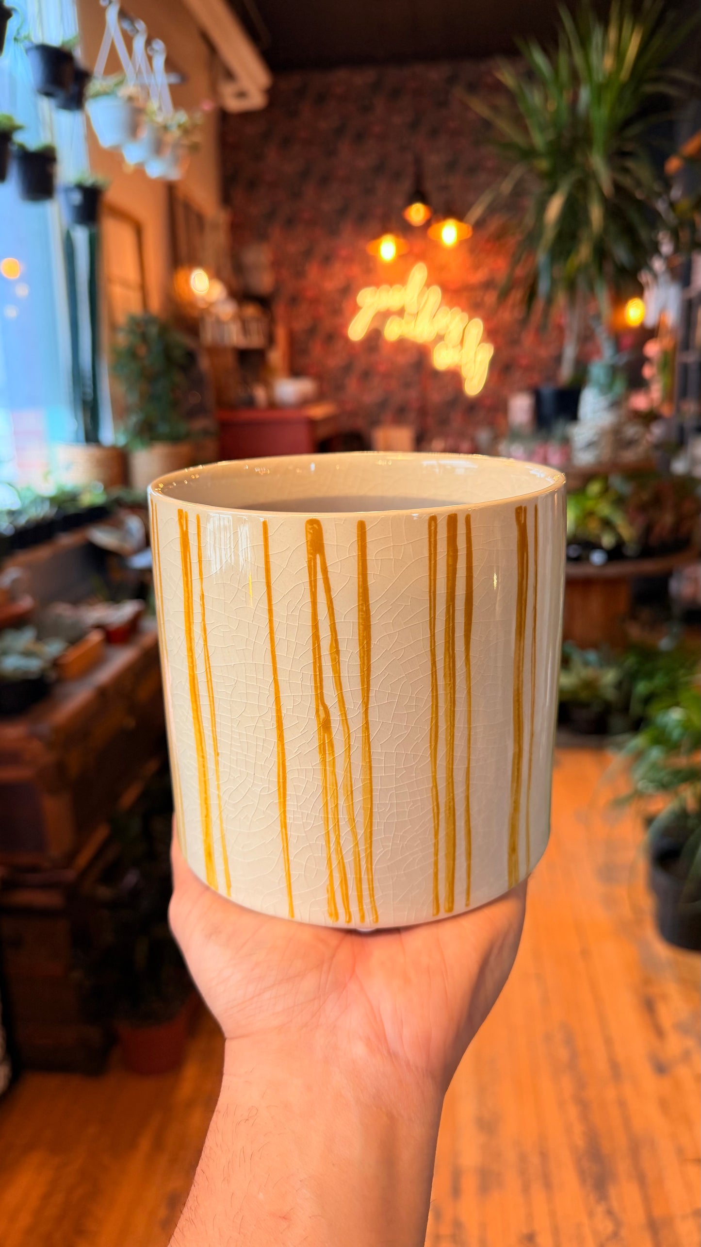 5.5” Mustard Line Planter