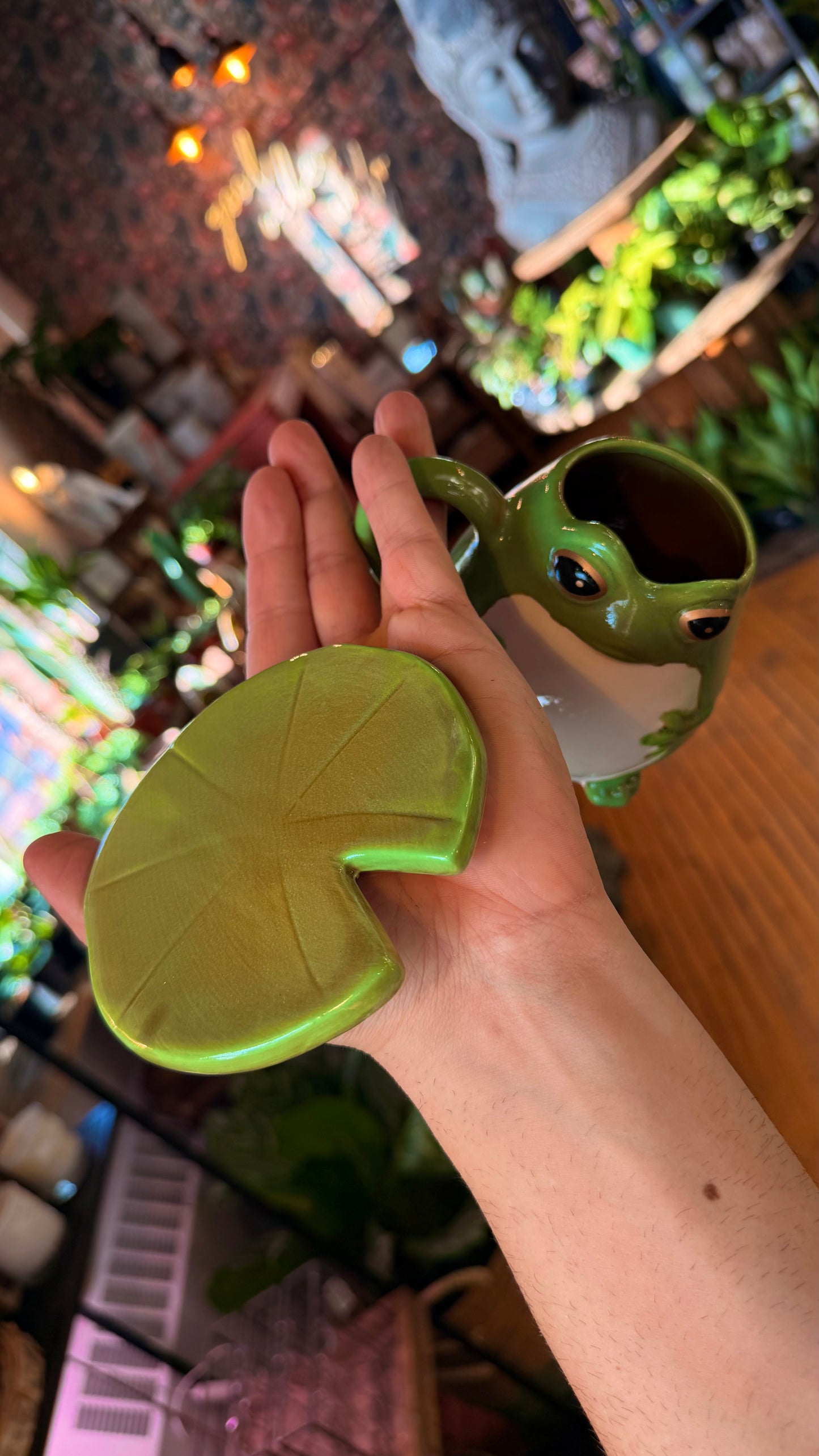 Frog Hopper Mug