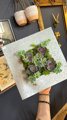 Succulent Living Picture Frame - 4 Piece