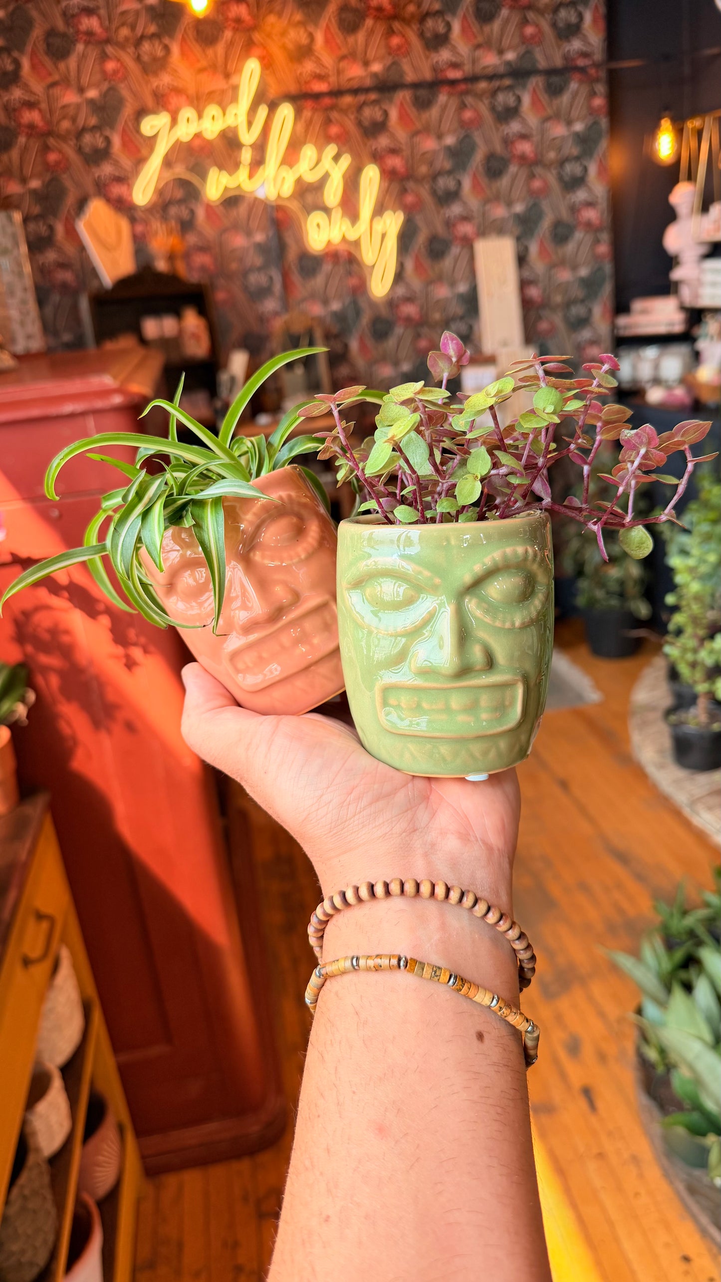 Tiki Tropicals Planter Combo