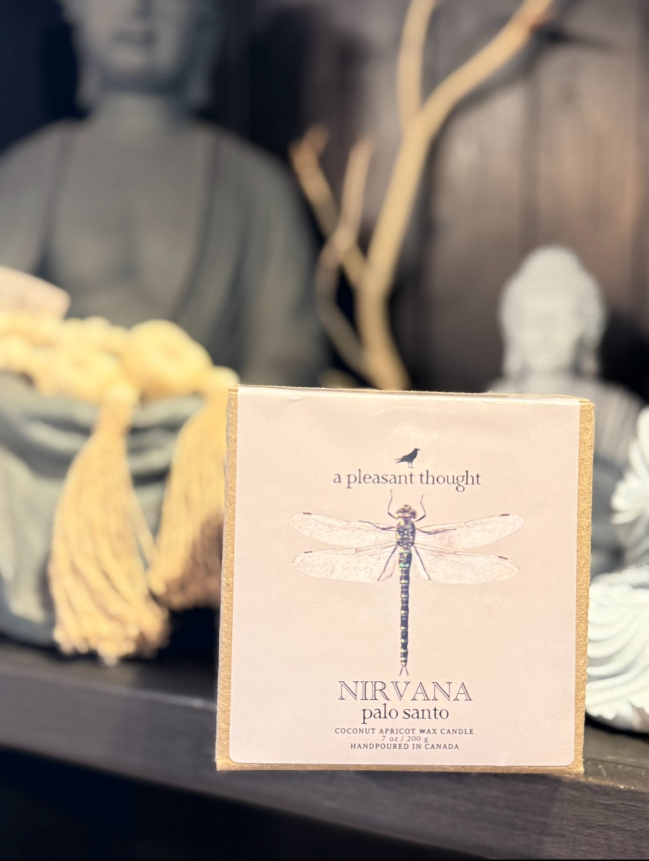 A Pleasant Thought - Nirvana