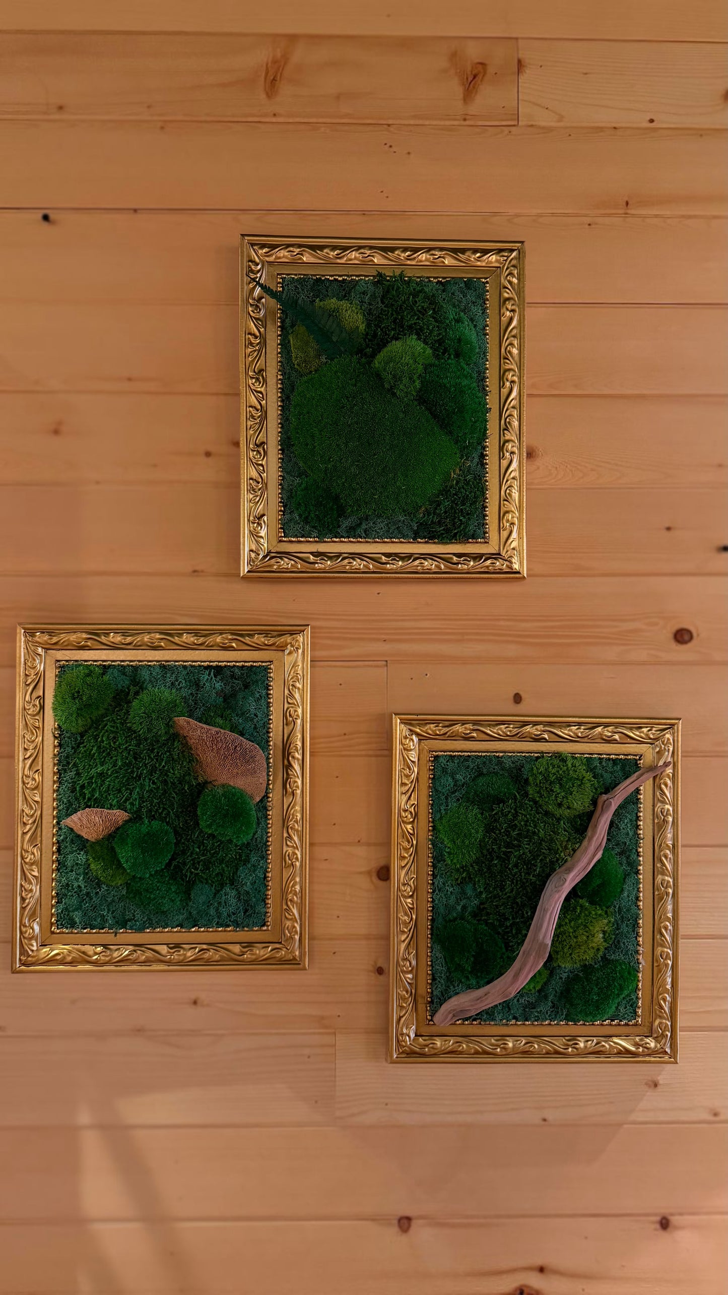 Large ‘Petrillo’ Moss Art