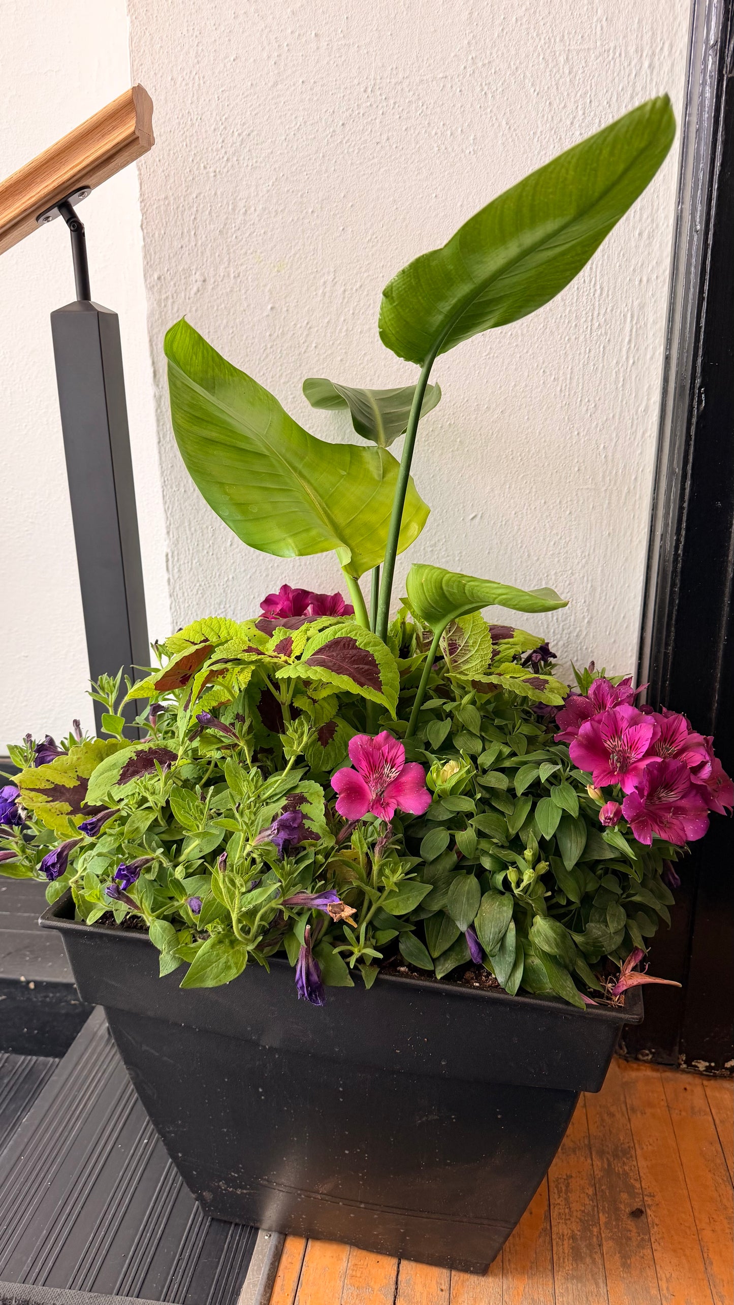 17” Outdoor Planter Arrangements