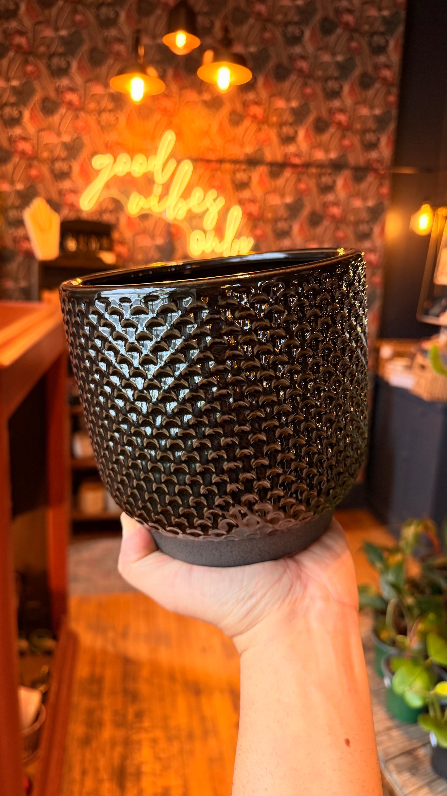 6.5” Black Scaled Planter