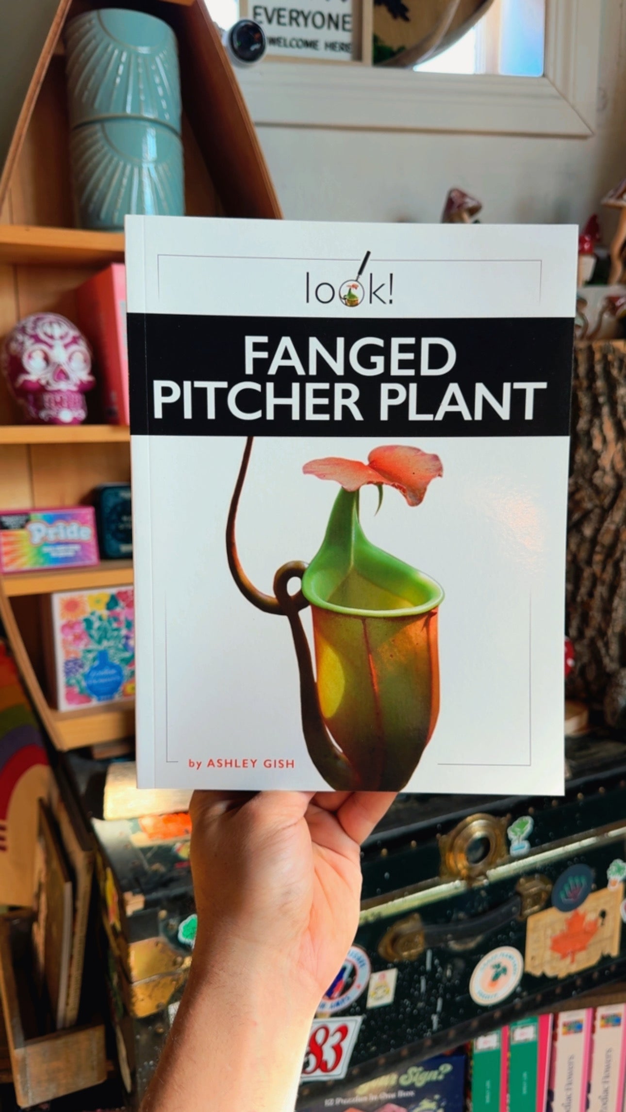 Fanged Pitcher Plant Boom
