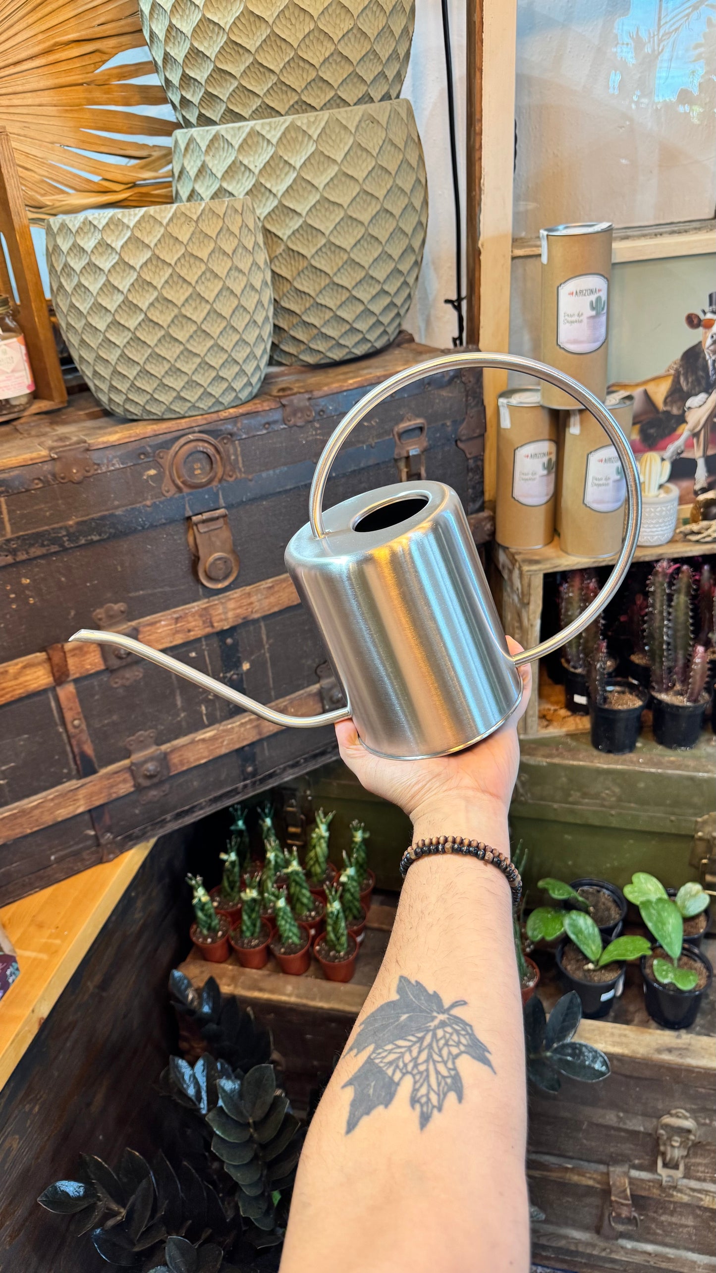 Silver Watering Can