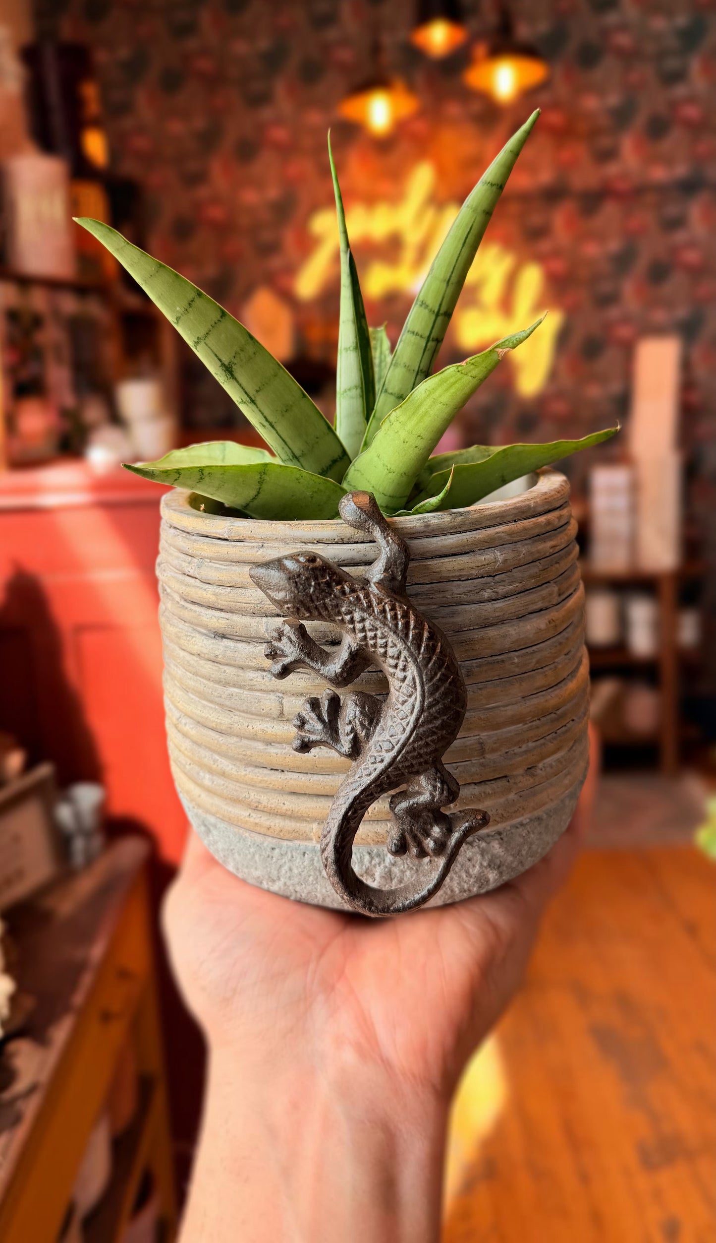 Lazy Lizard Plant Buddy