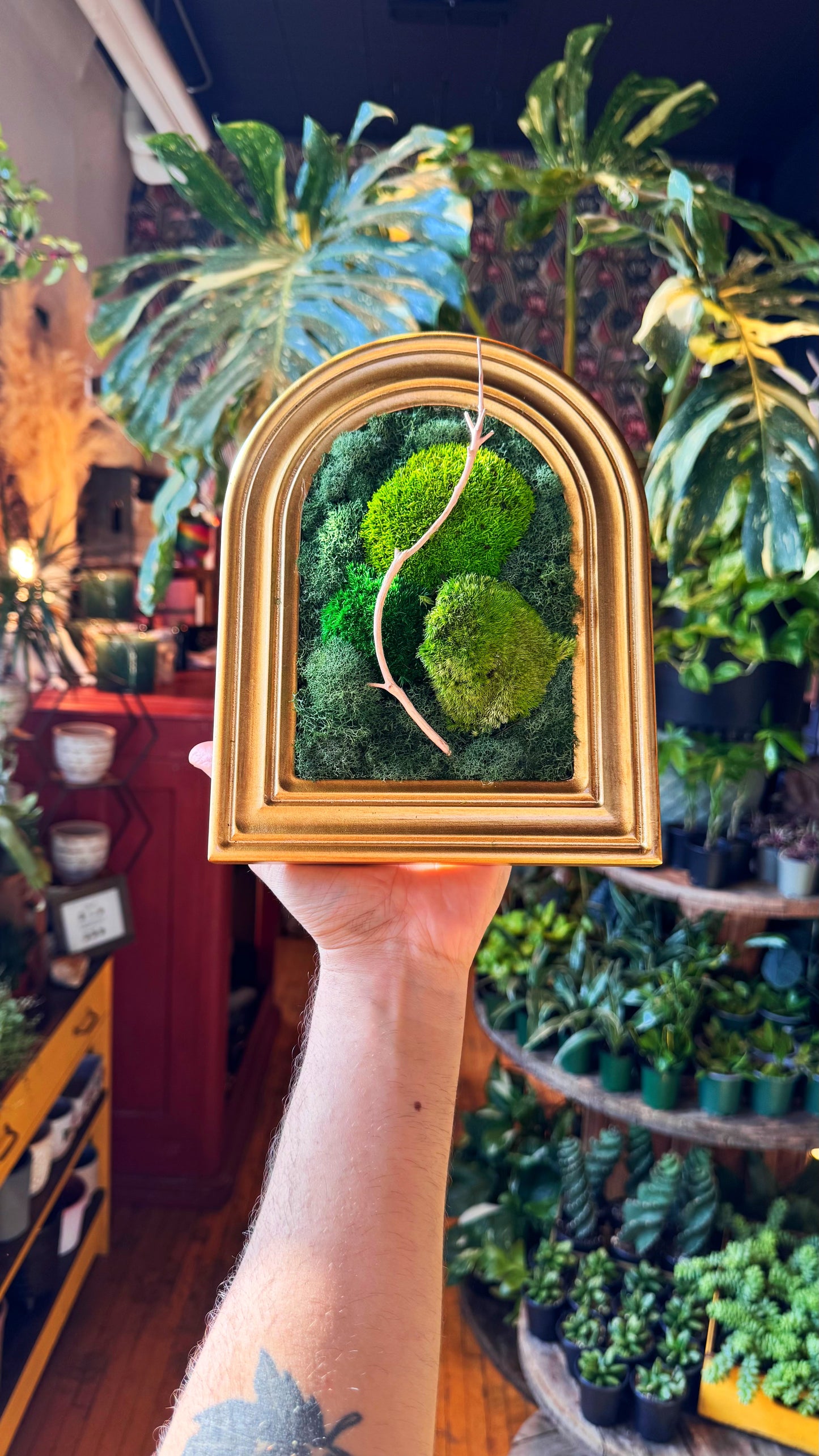 ‘Clive’ Moss Art