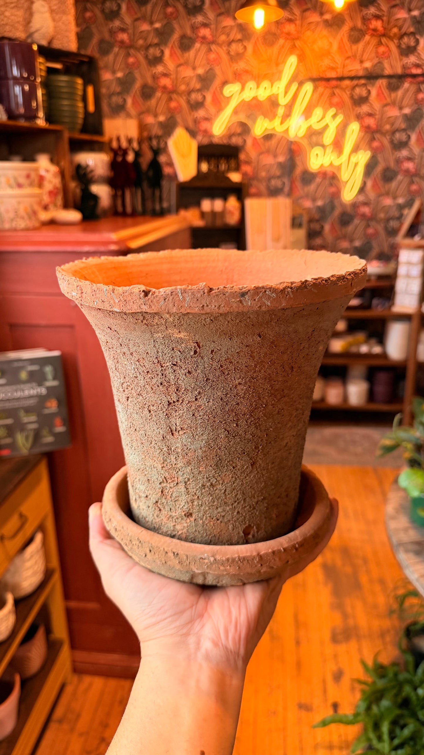 6.5” Aged Terracotta Planter