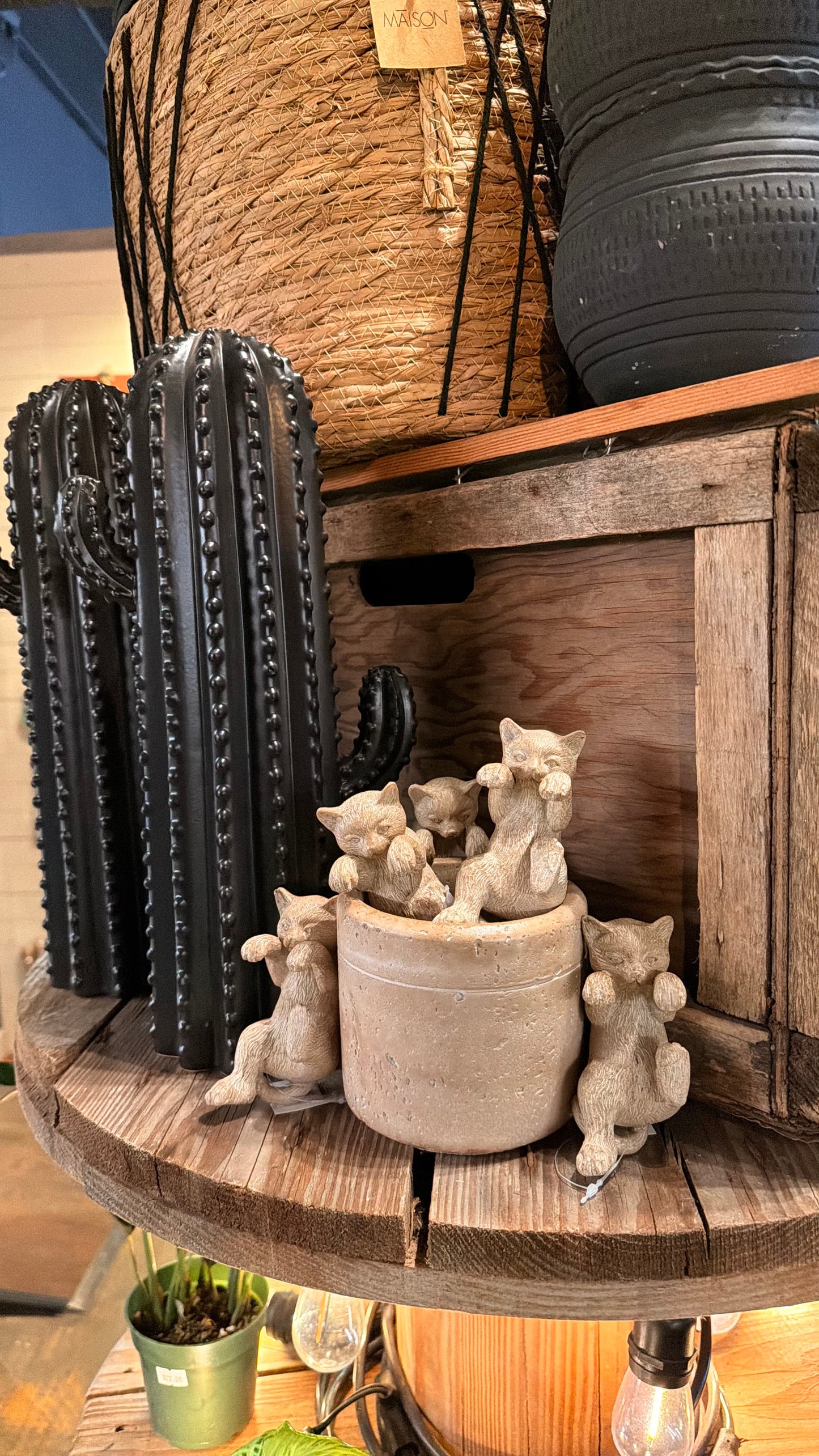 Kozy Kitty Plant Buddy