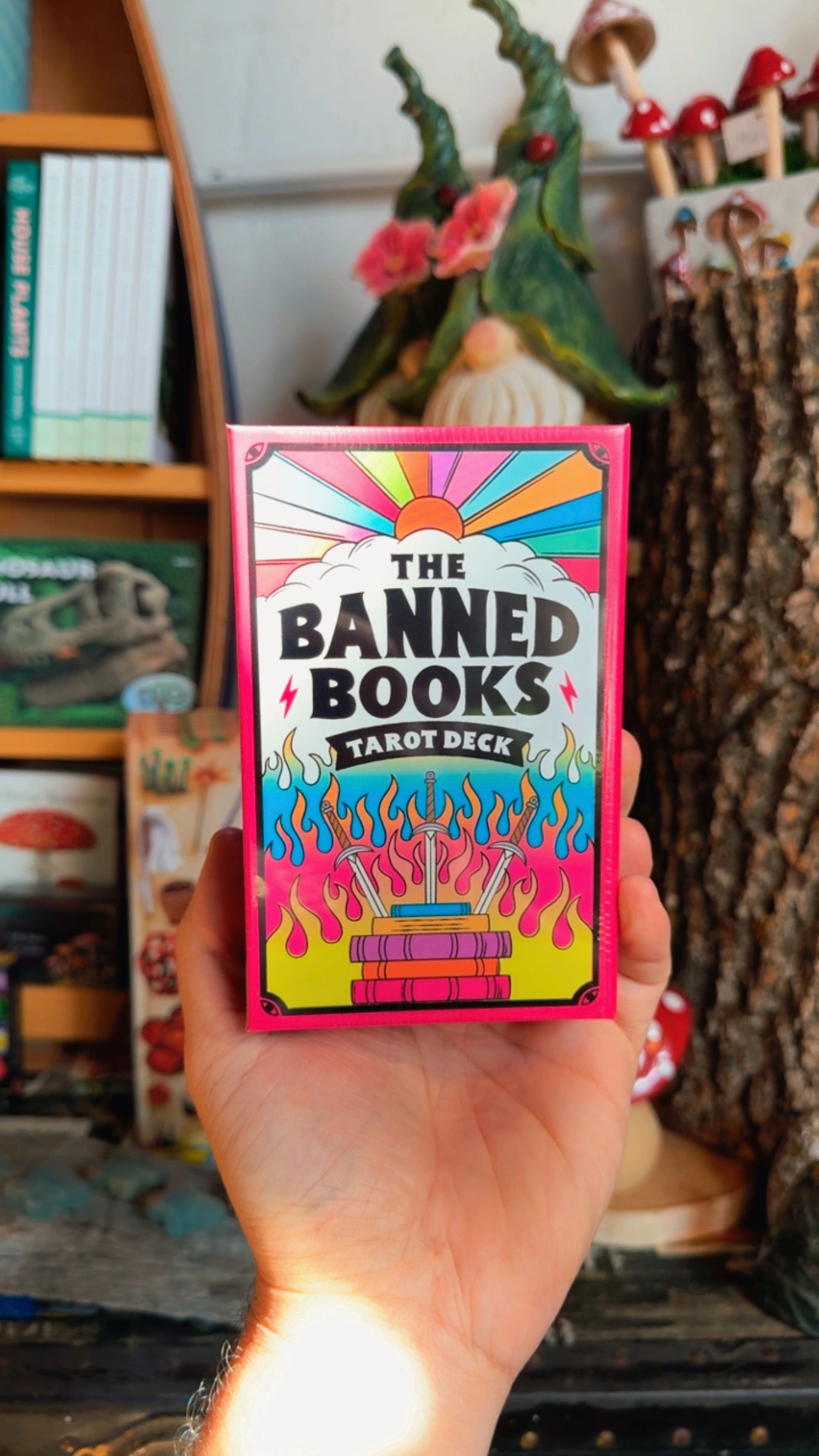 Banned Book Tarot Cards