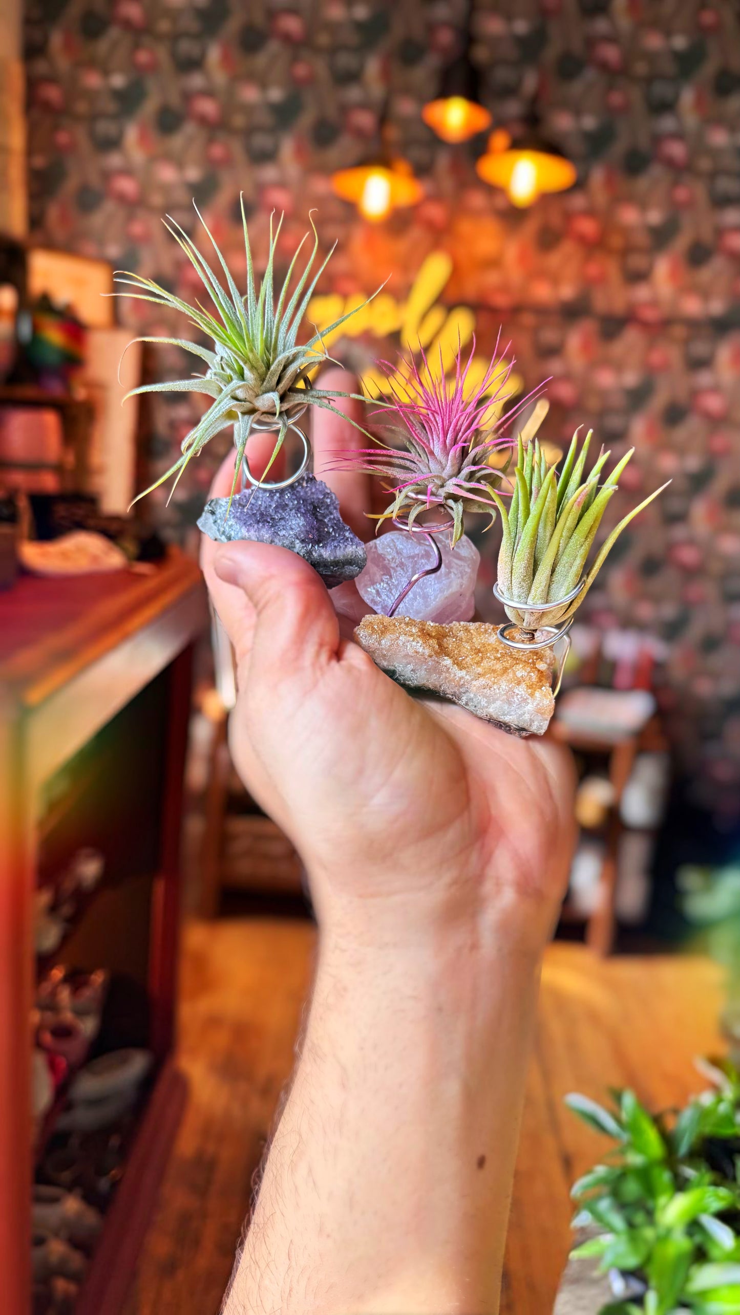 Crystal Airplant Holders
