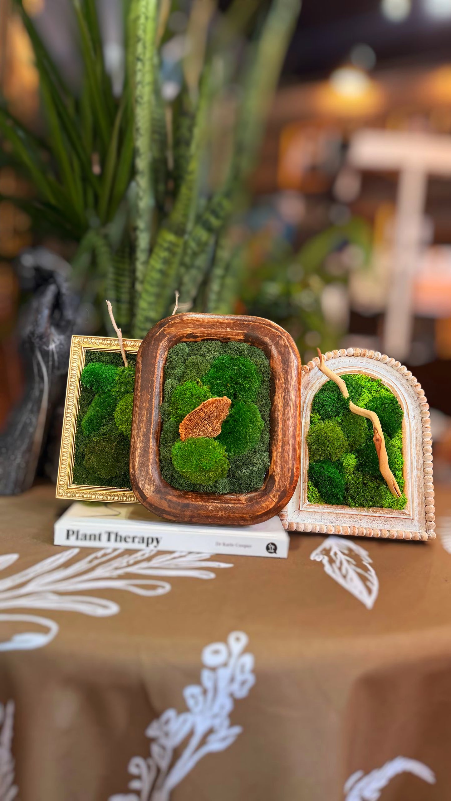 ‘Pick Your Frame’ Moss Art Workshop