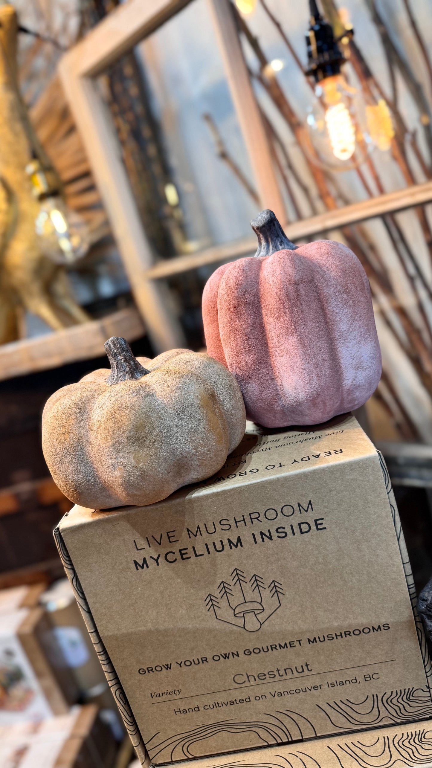 Boho Ceramic Pumpkin Collection