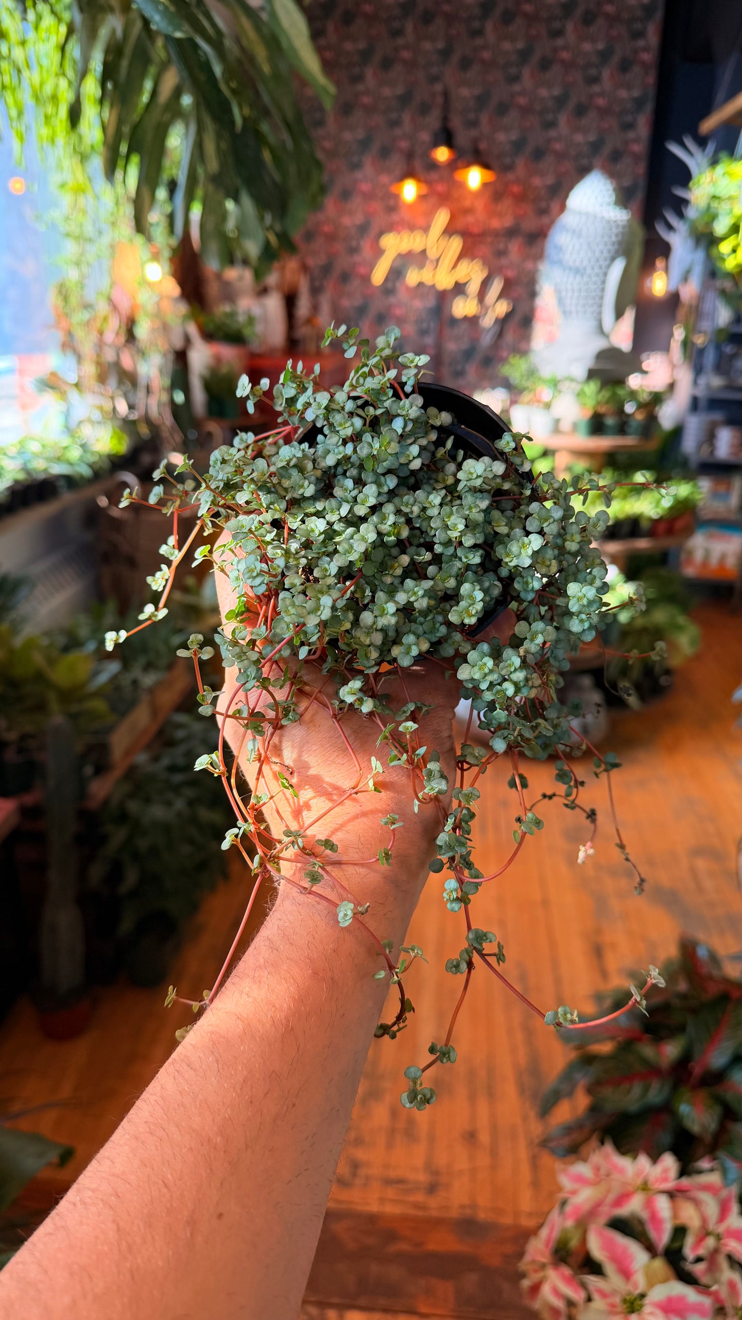 4” Baby Tears Silver