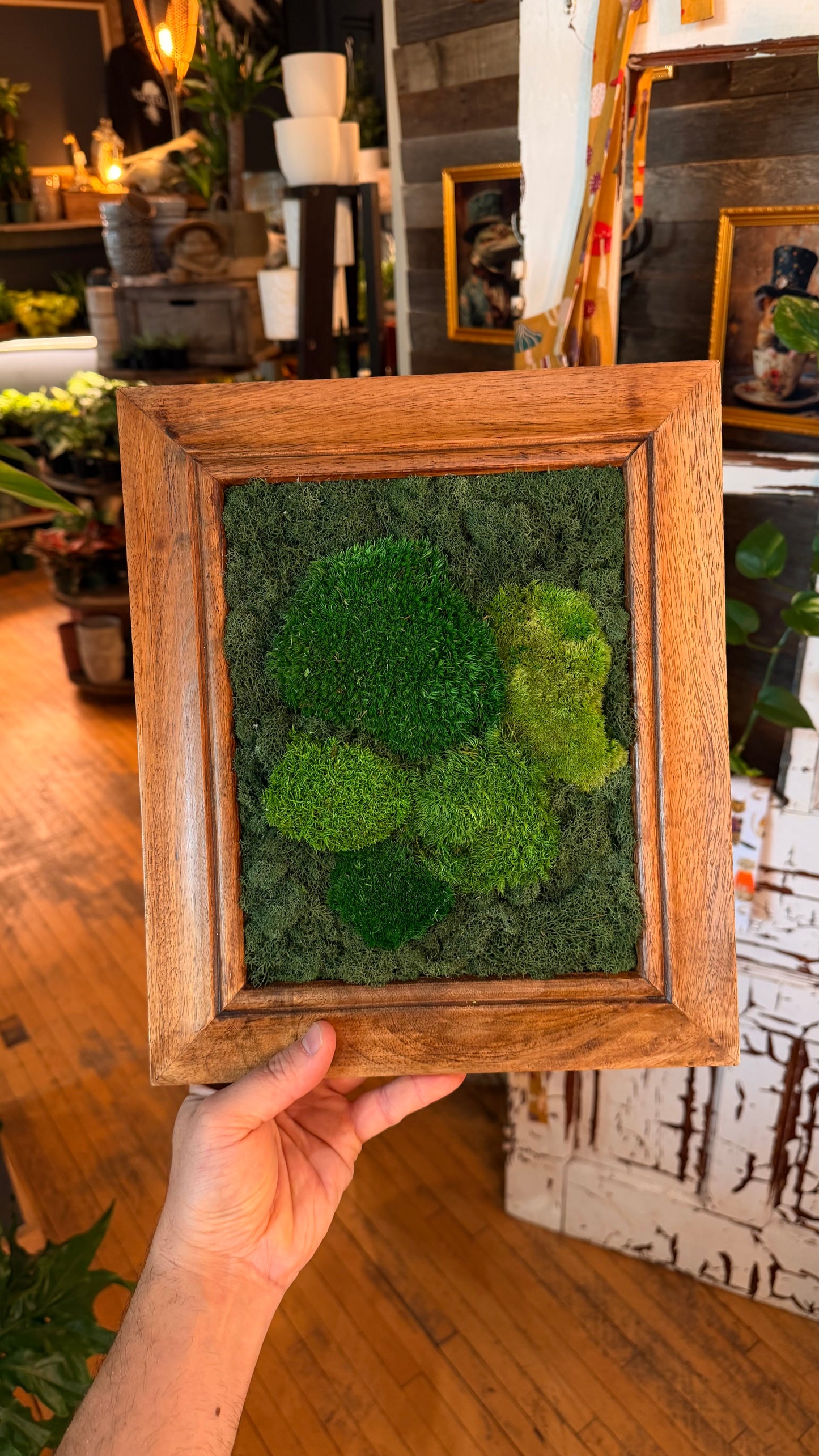 Medium Woodframe ‘Belvire’ Moss Art