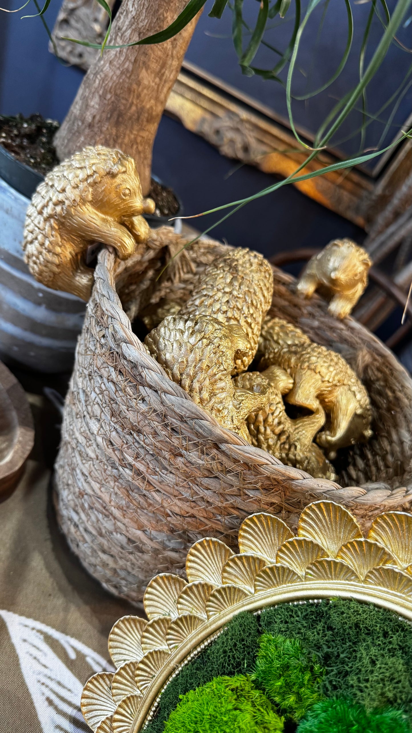 Hedgehog Planter Buddy