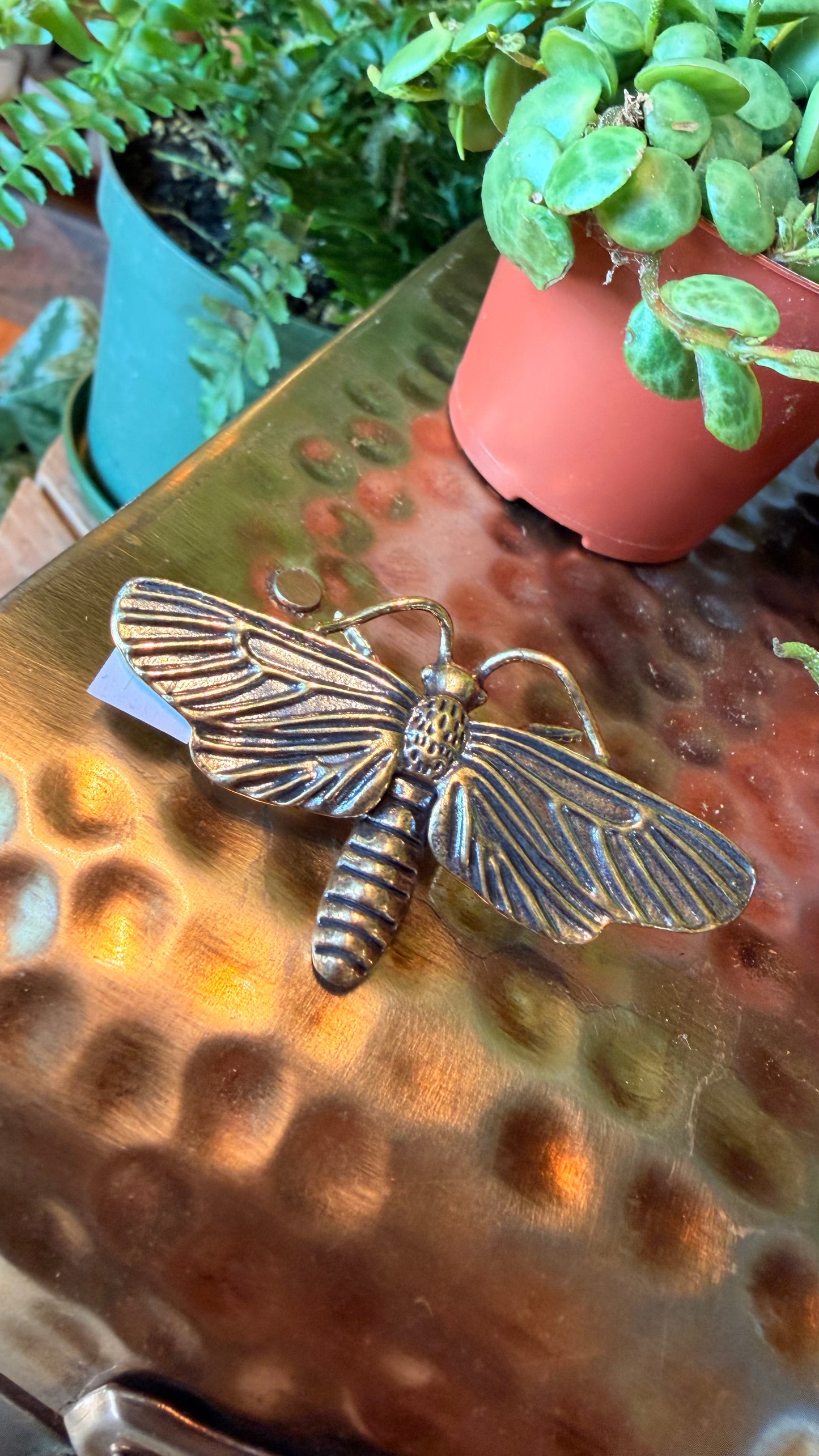 Monty the Moth Brass Figurine