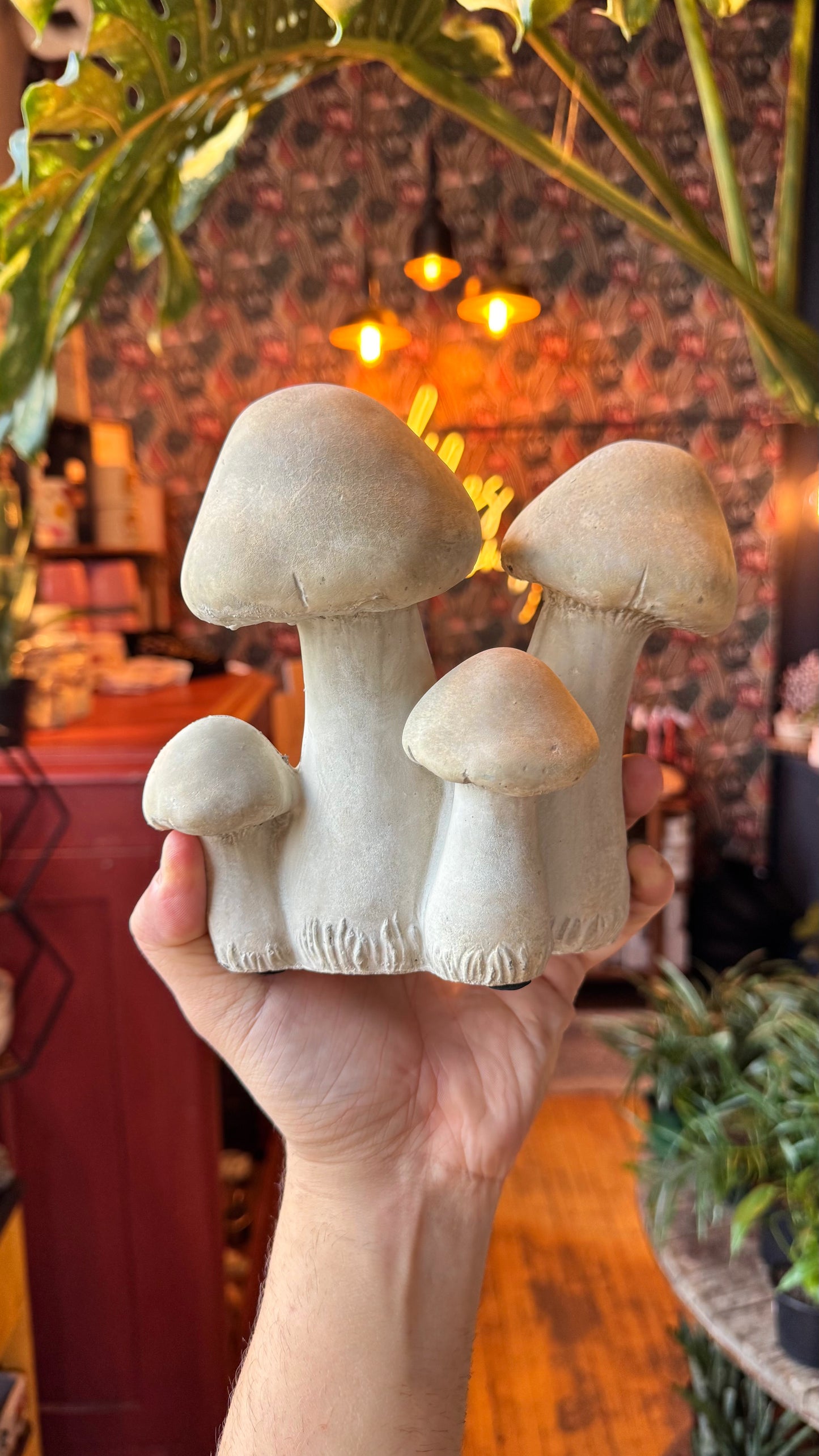Mushroom Mingle Decor