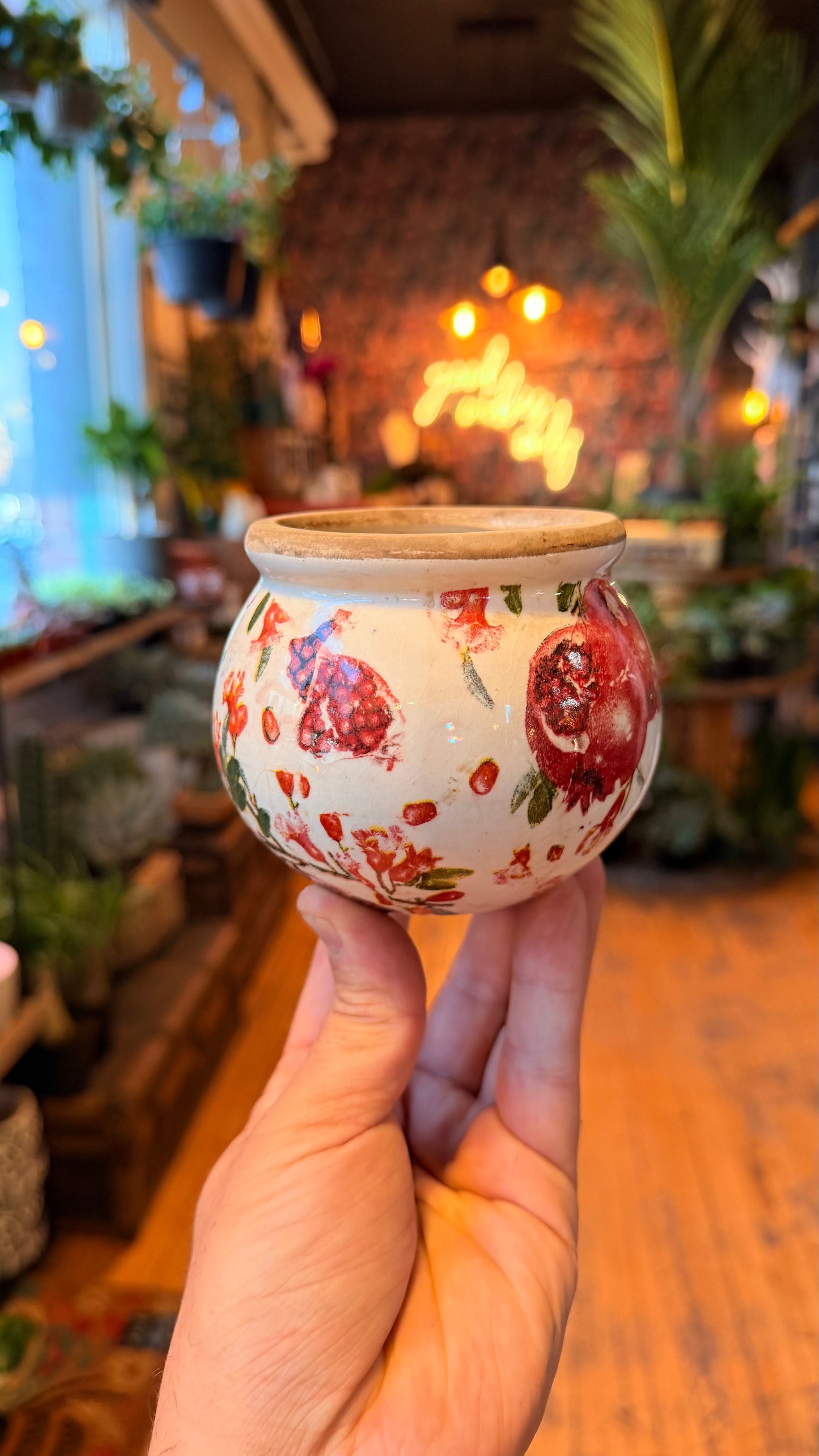 3.5” Pomegranate Plum Planter