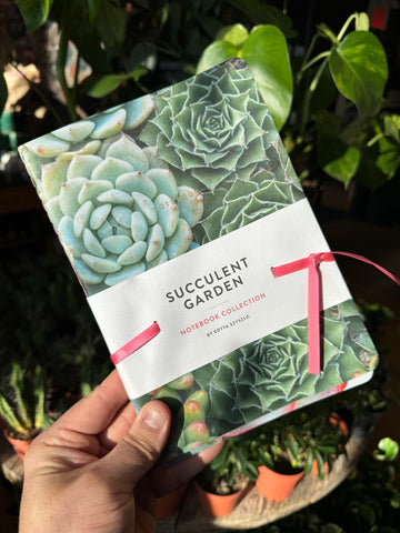 Succulent Notebooks - Pack of 3