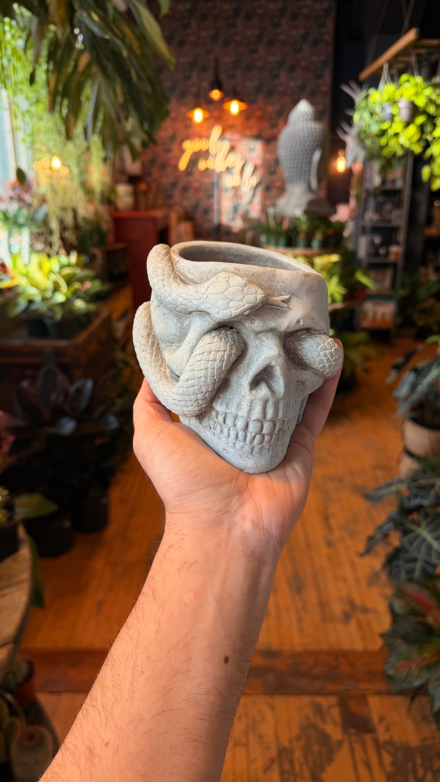 4” Snake Eyes Skull