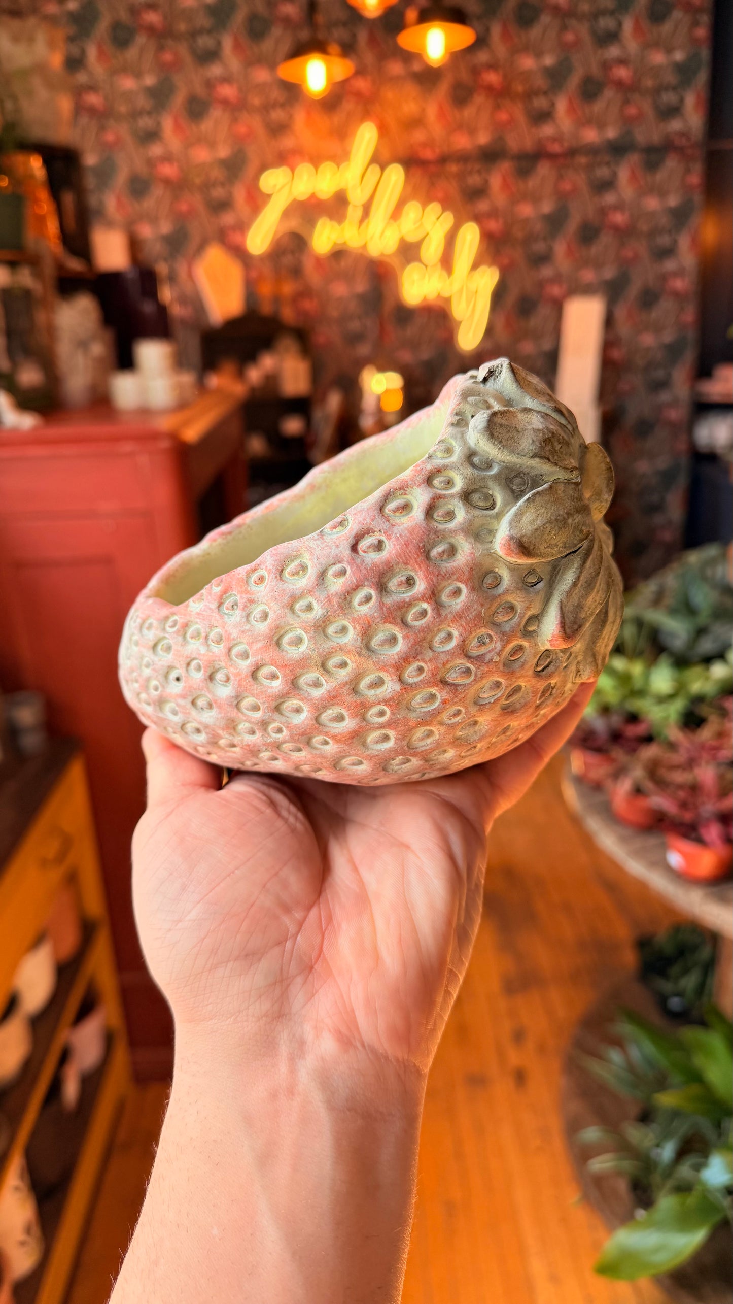 4” Laying Strawberry Planter