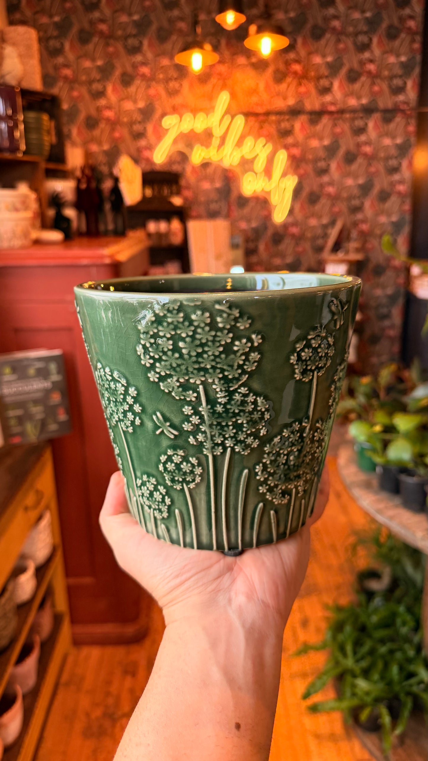 6.5” Dragonflies and Dandelions Planter