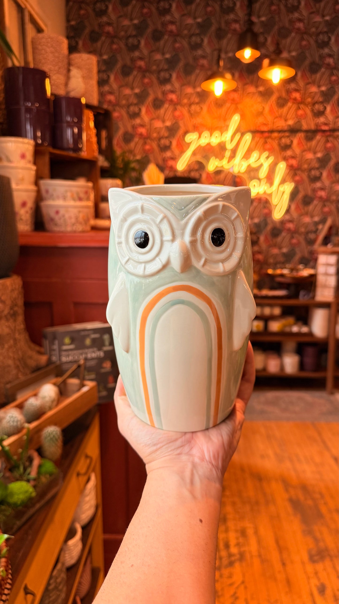 4” Rover the Owl Tall Planter