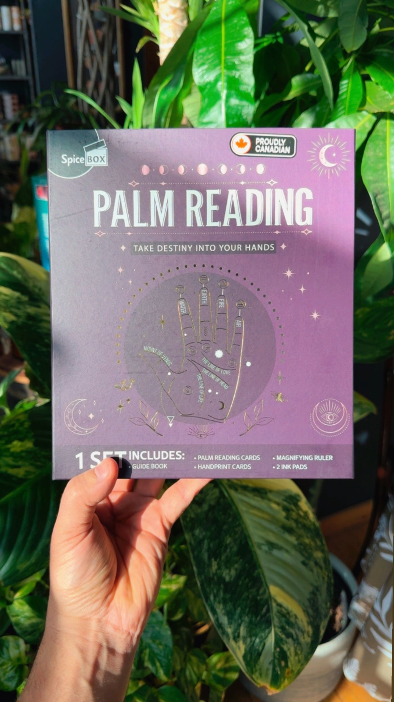 Palm Reading Kit