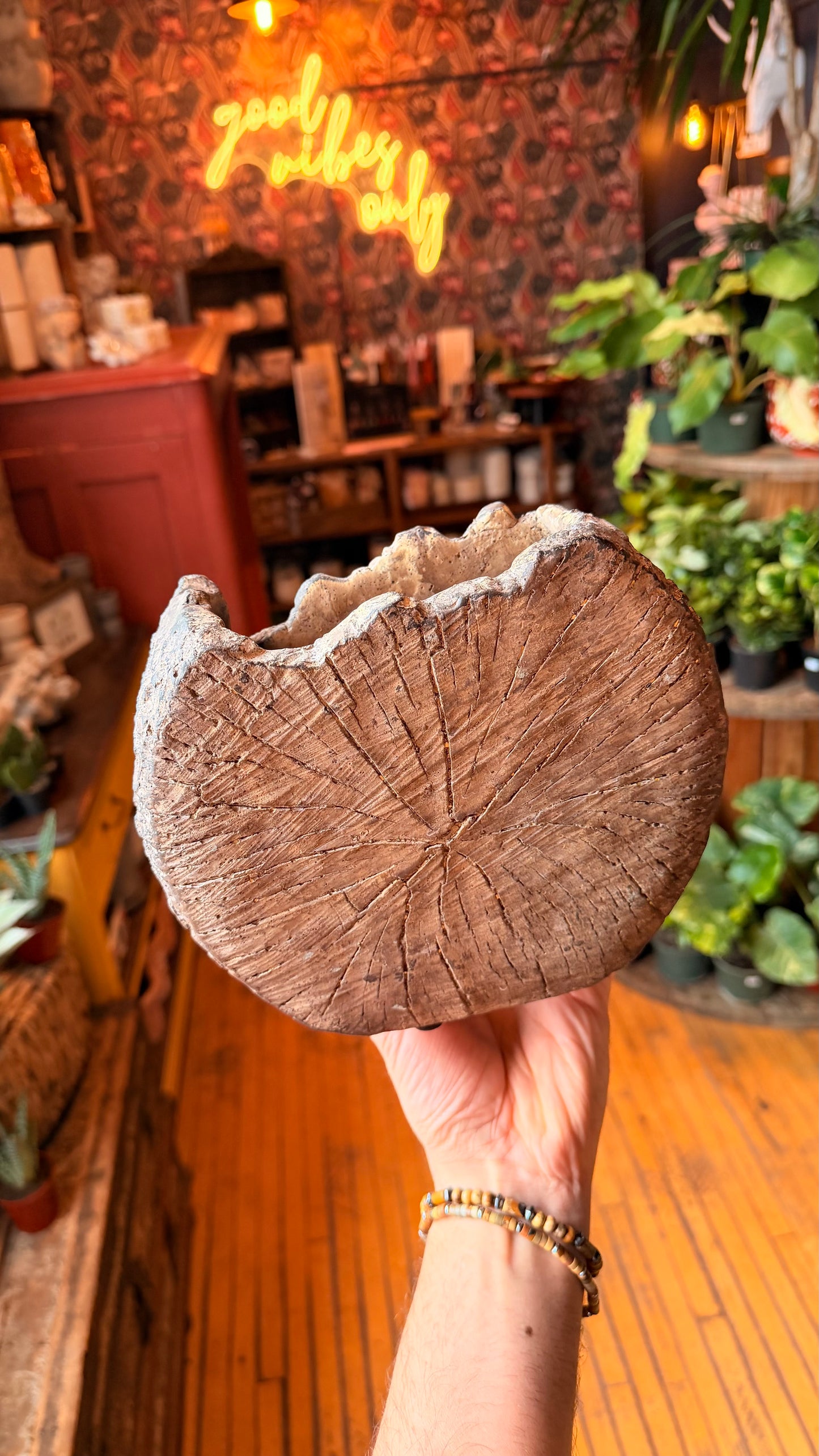 Woodland Log Planter