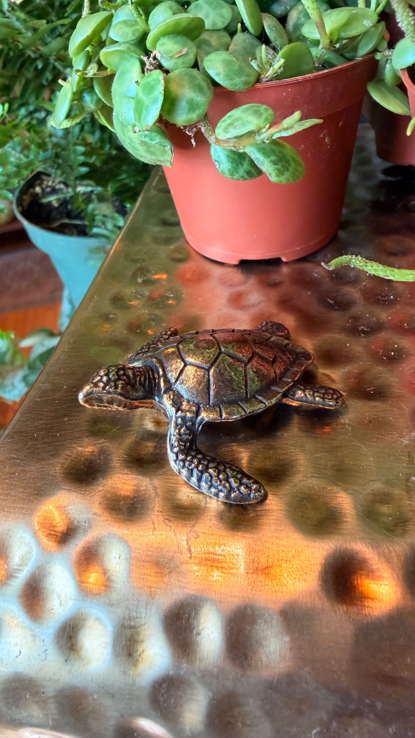 Sully the Sea Turtle Brass Figurine