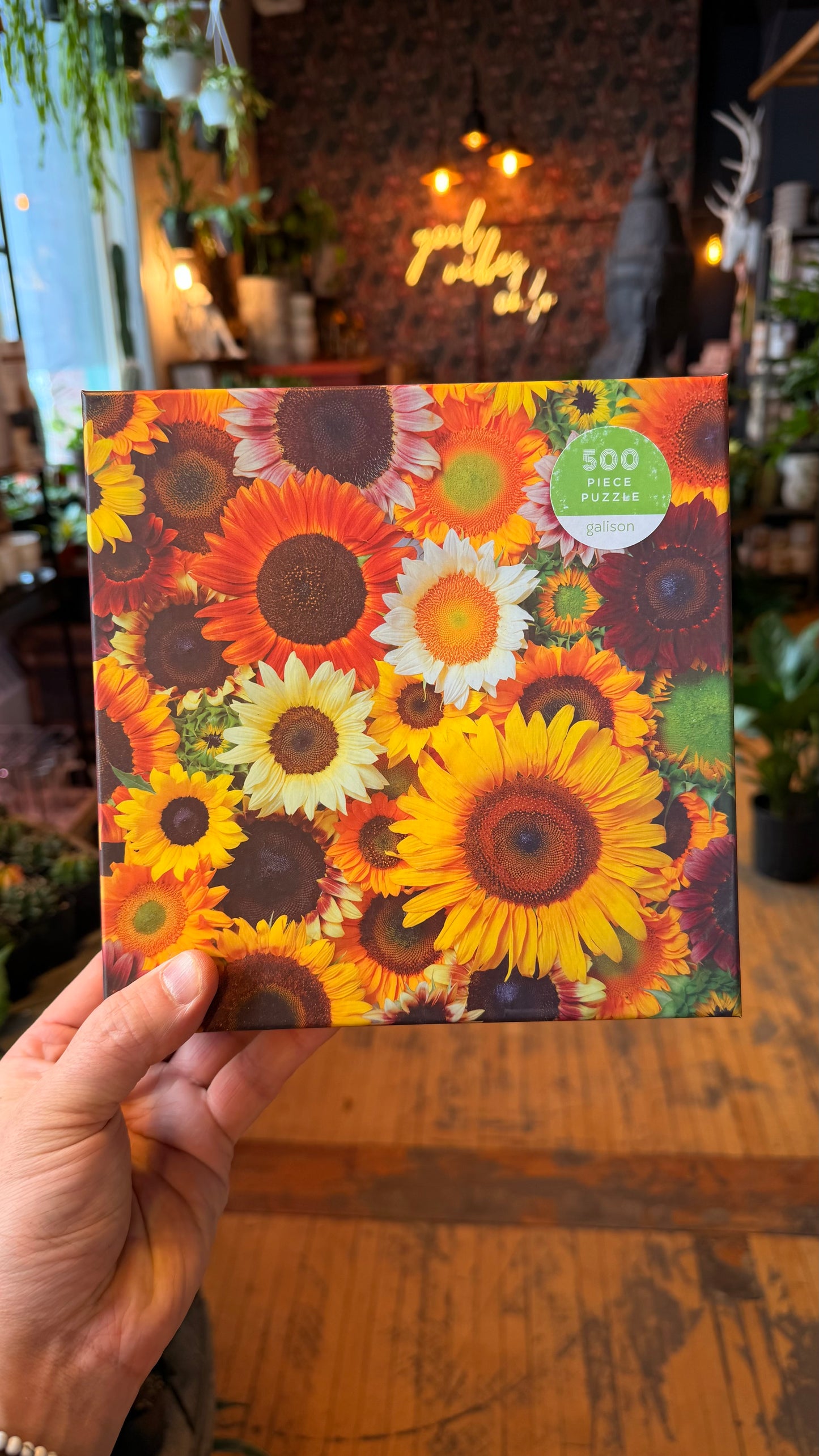 Sunflower Blooms - 500 Piece Puzzle
