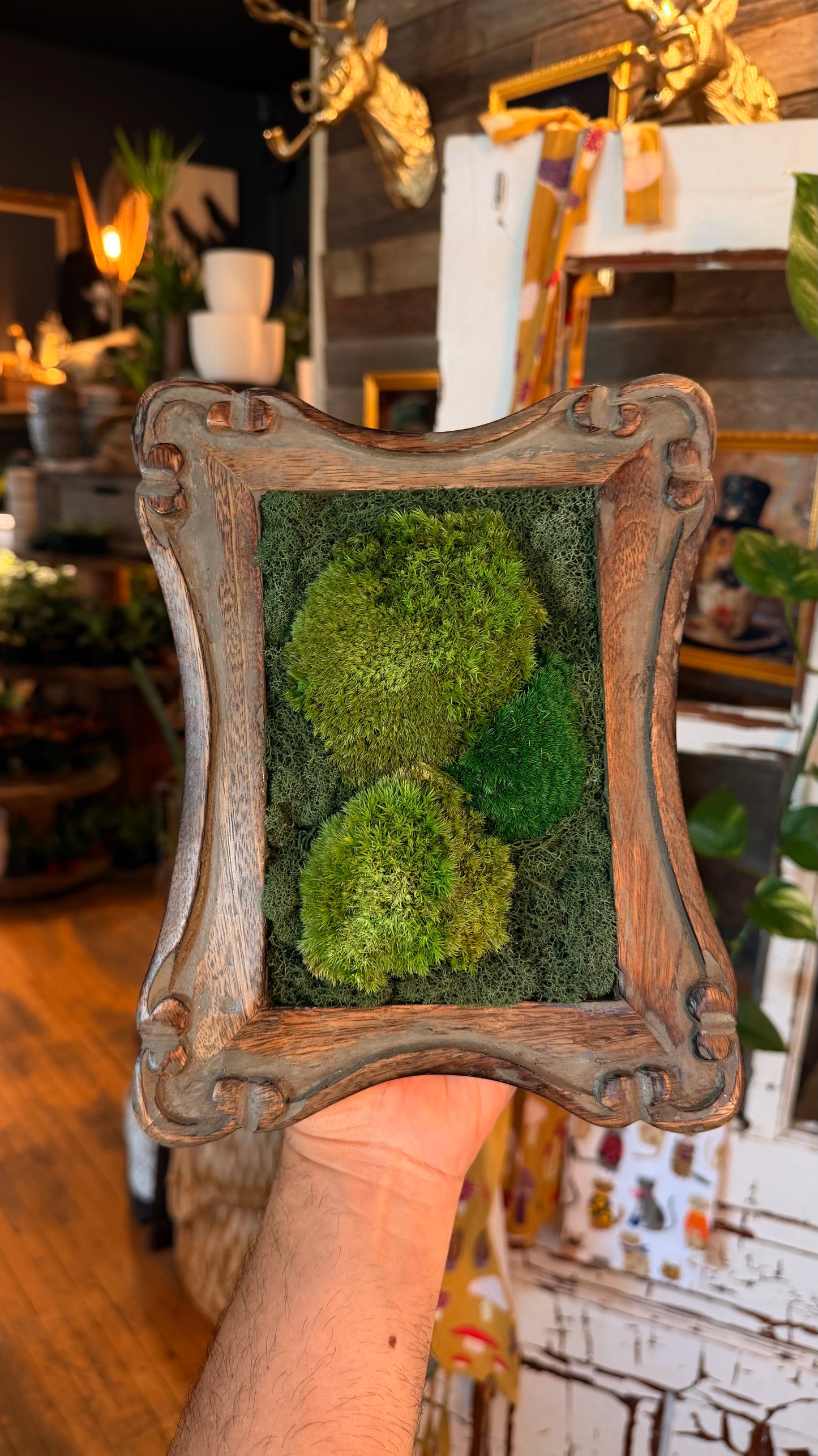 Vintage ‘Delta’ Moss Art Frame