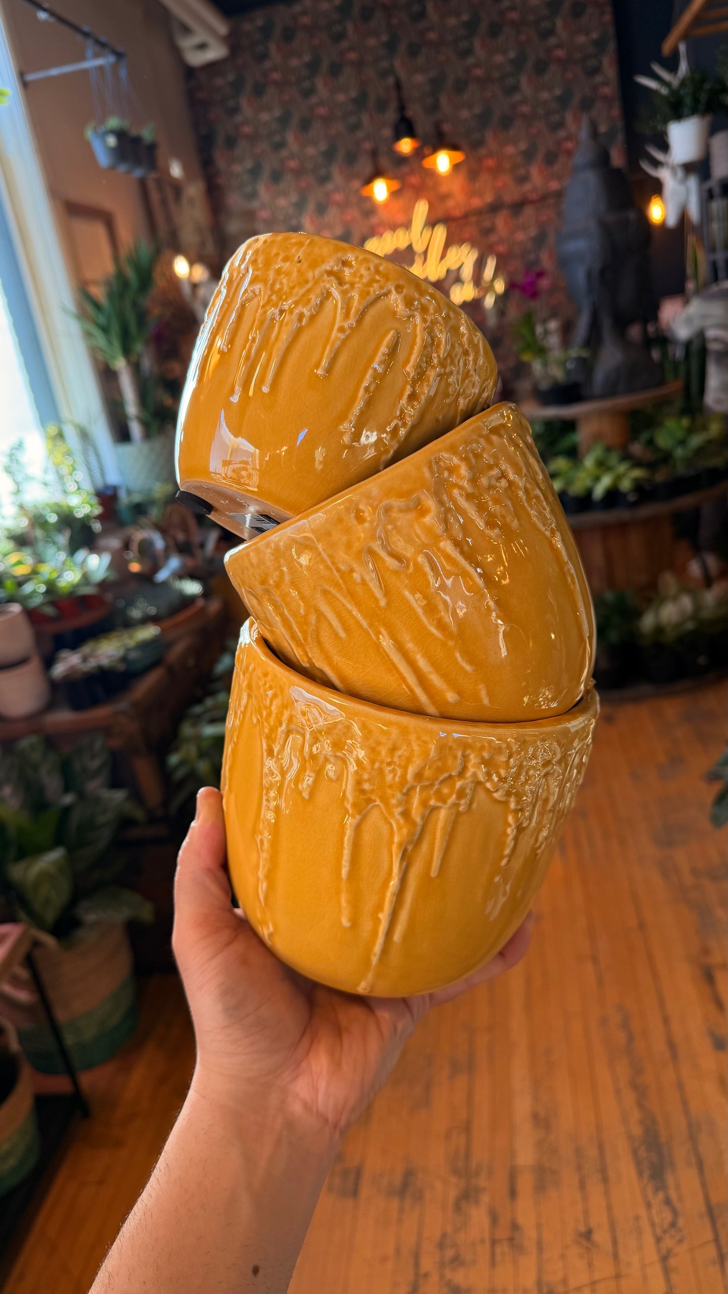 Honey Drip Collection