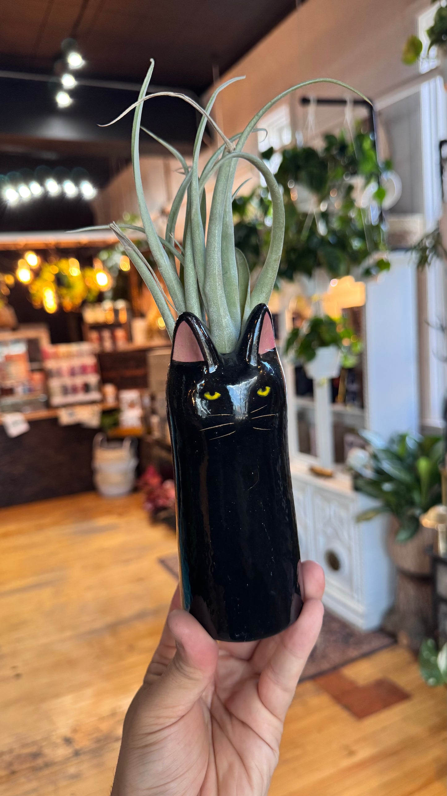 Felix the Cat Planter