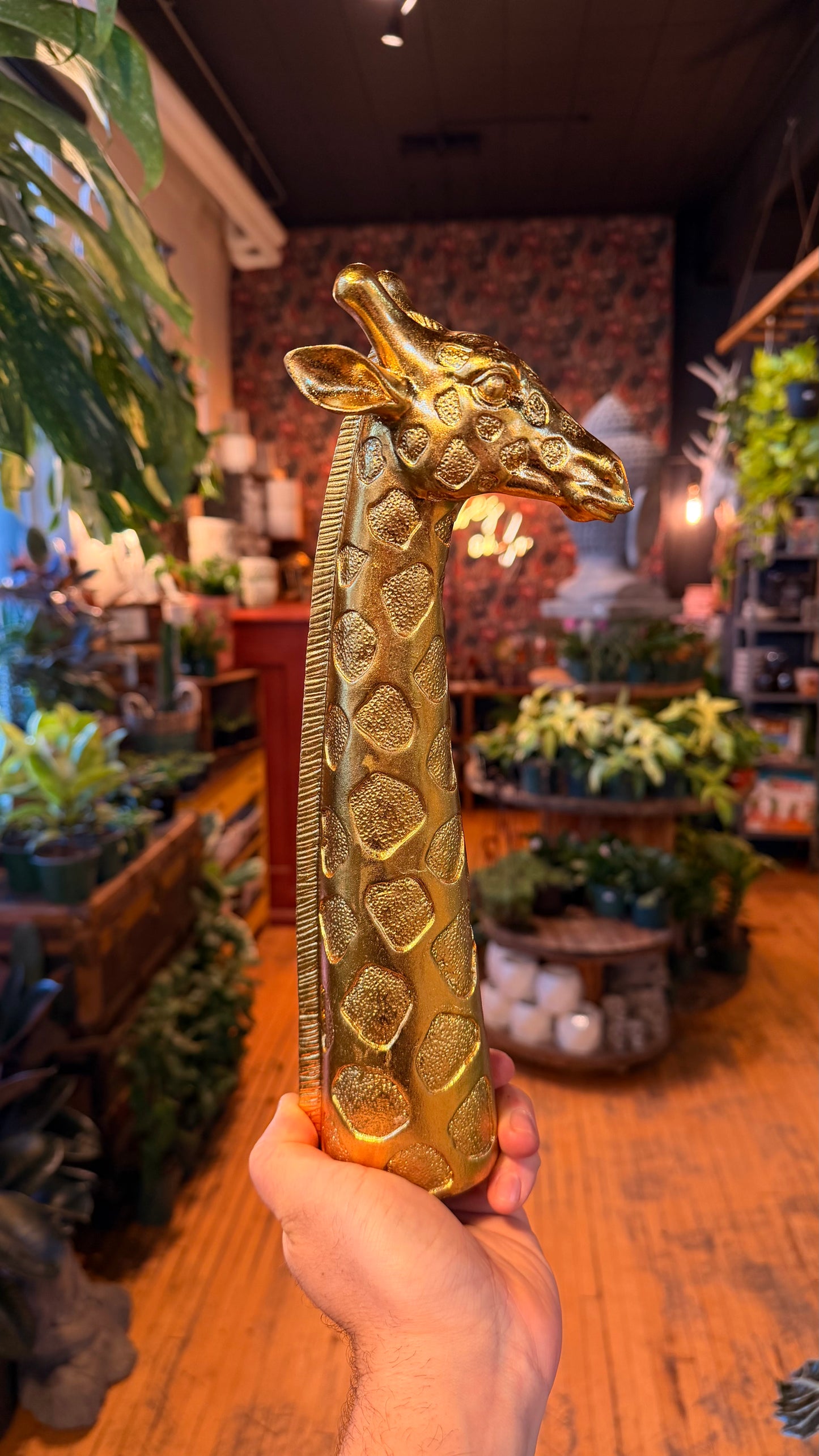 Golden Giraffe Decor