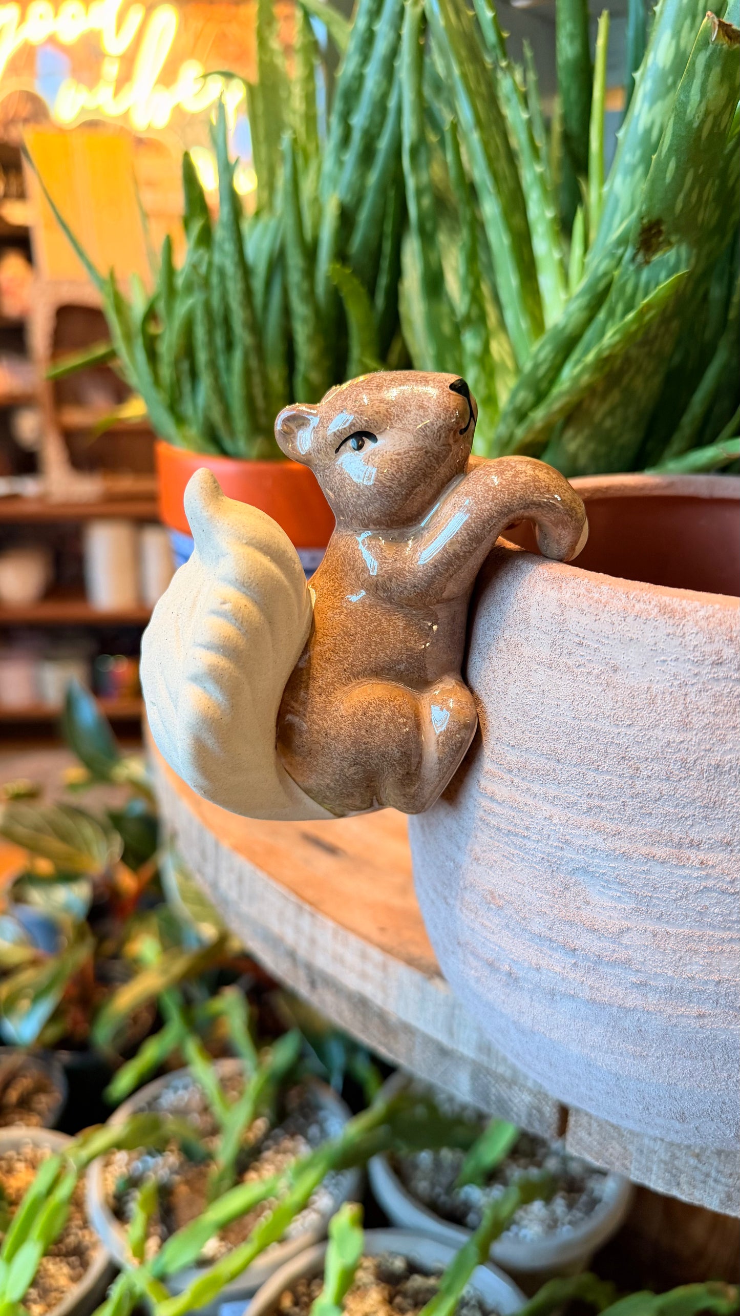 Sammy the Squirrel - Plant Buddy