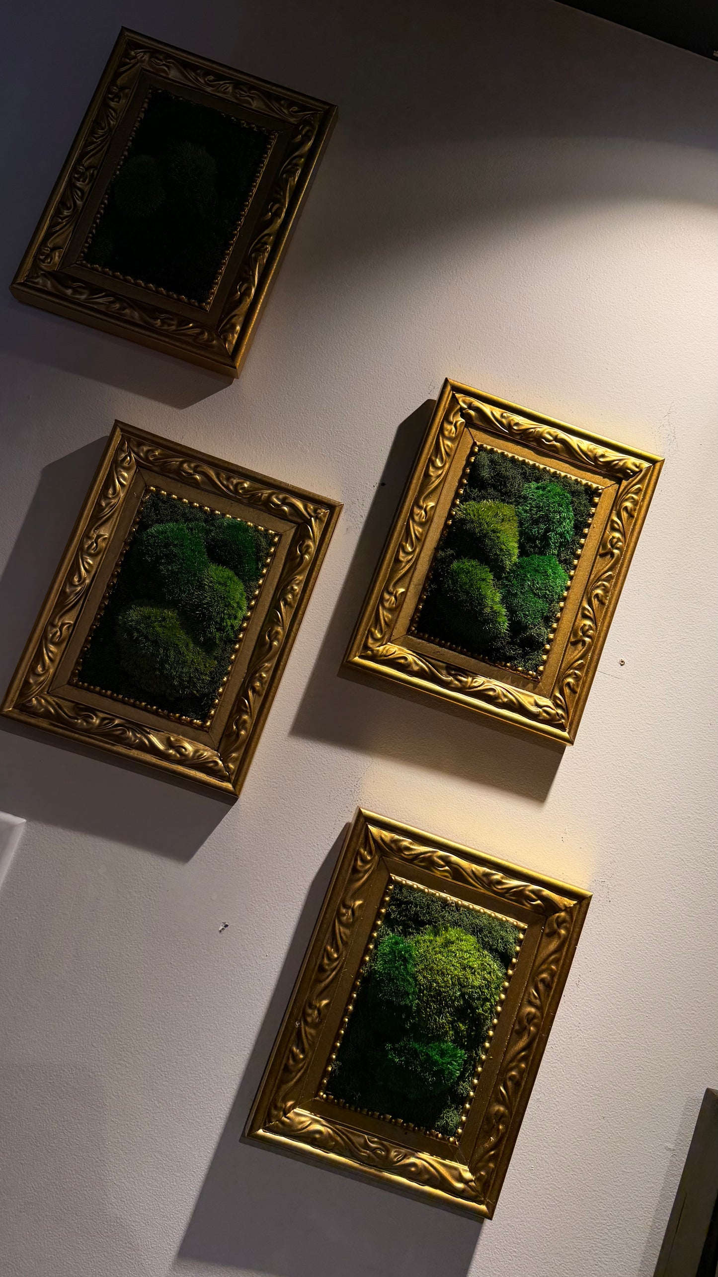 Small ‘Petrillo’ Moss Art