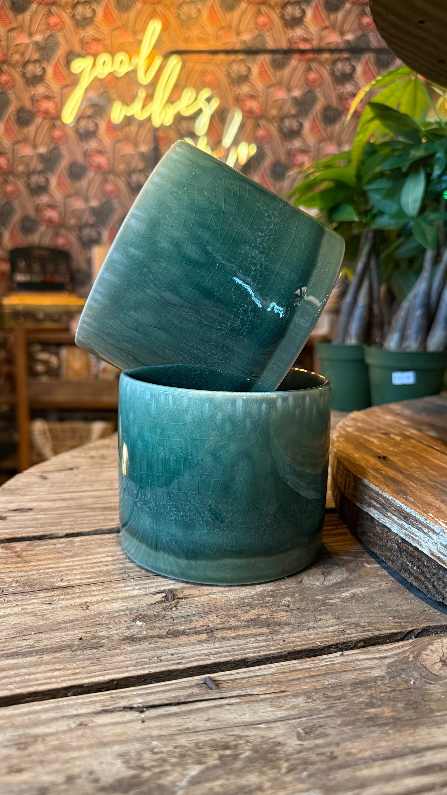 4” Ocean Eyes Teal Planter