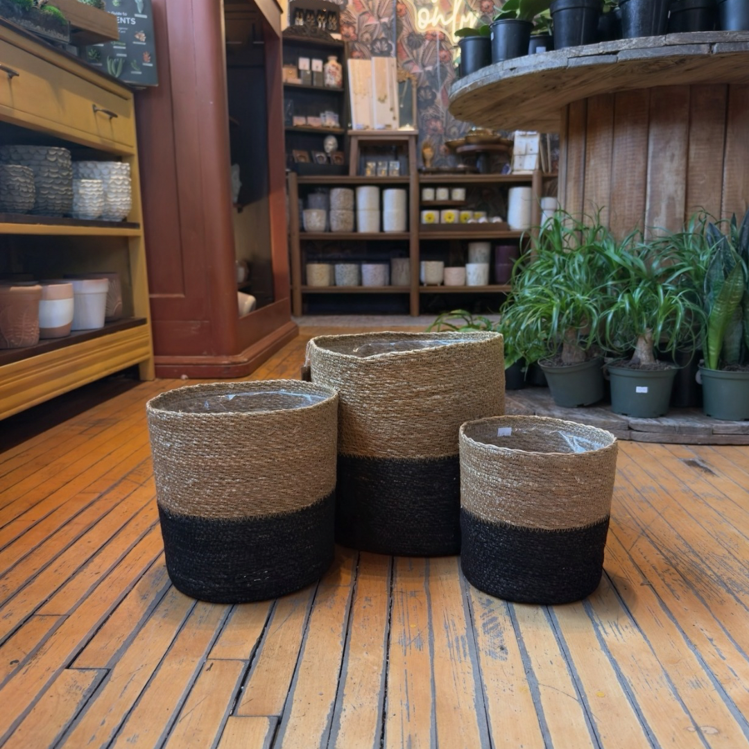 Black and Brown Lined Baskets