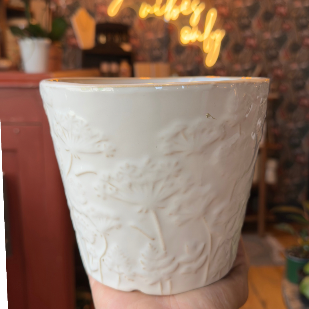 6” White Dandelion Planter