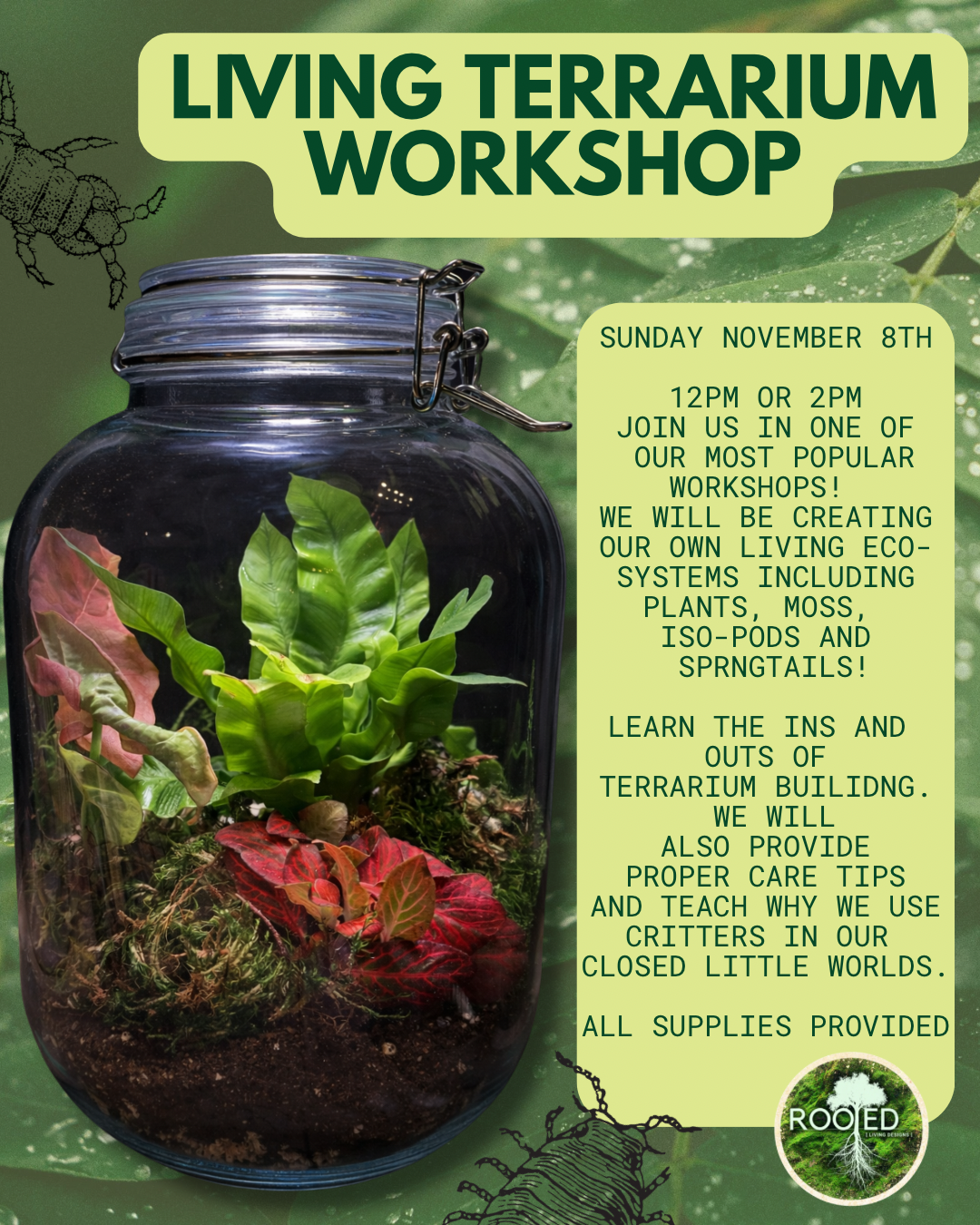 Living Terrarium Workshop