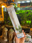 Long Tweezers For Aquariums