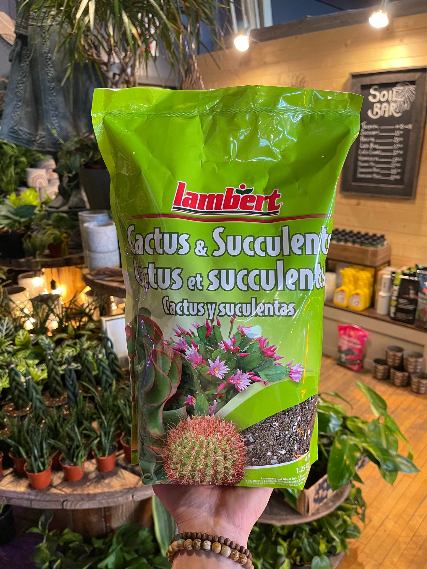 Cactus Soil Large - 4.4L