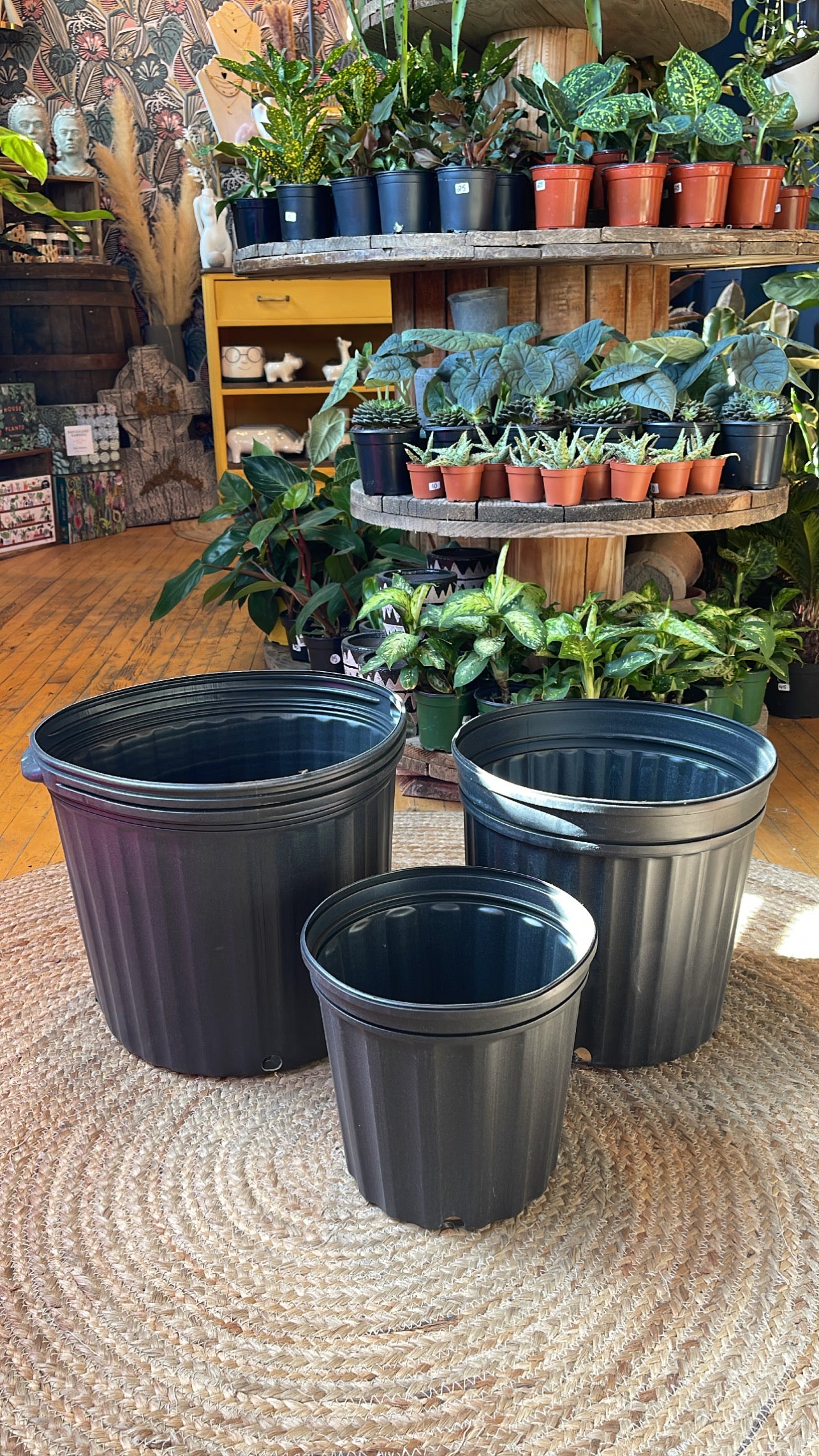 nursery plant pots canada X-Large Nursery Pots