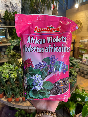Large African Violet Soil