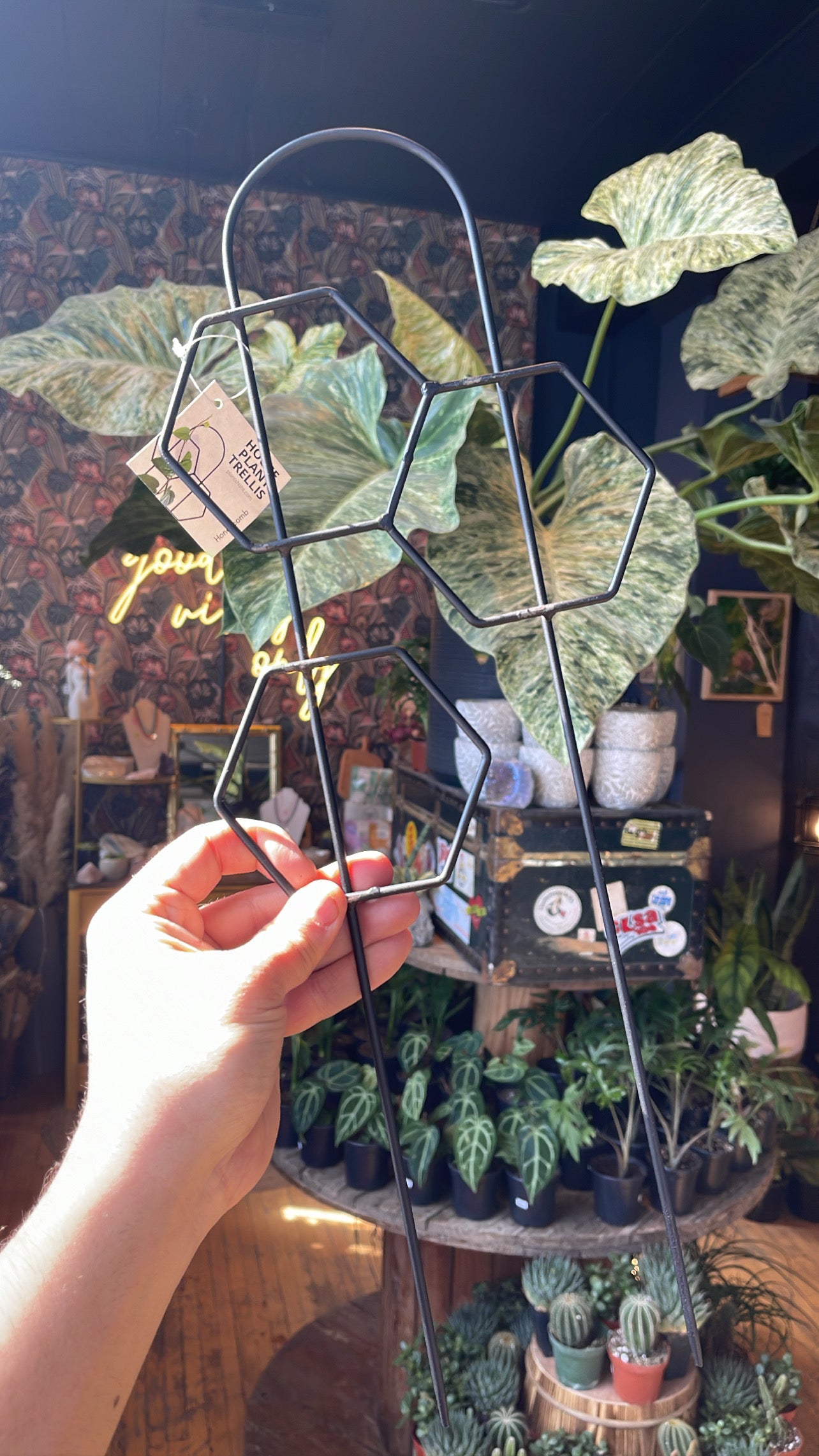 Honeycomb Trellis