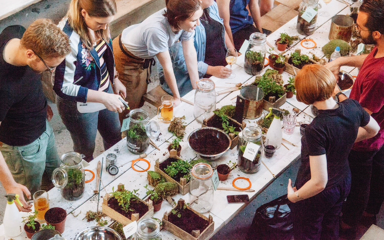 Workshops – Rooted Living Designs