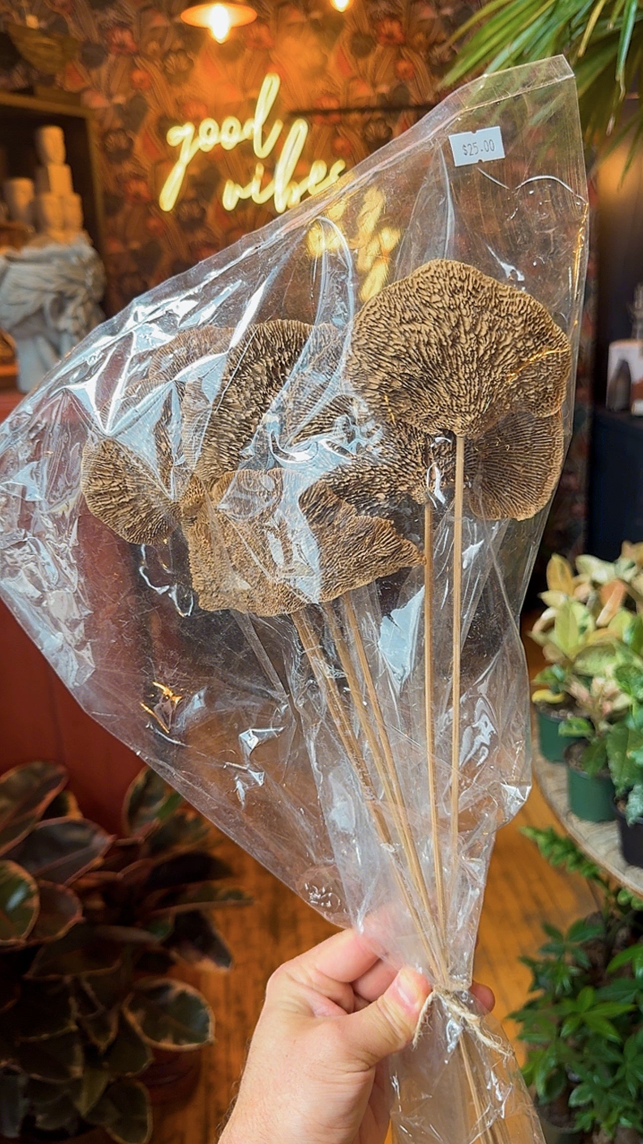 Forest Mushrooms - Dried Floral